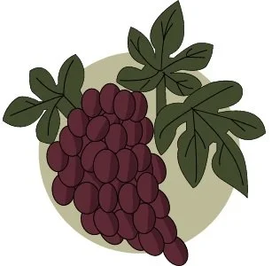 St. Helena Parks and Rec Summer Camp