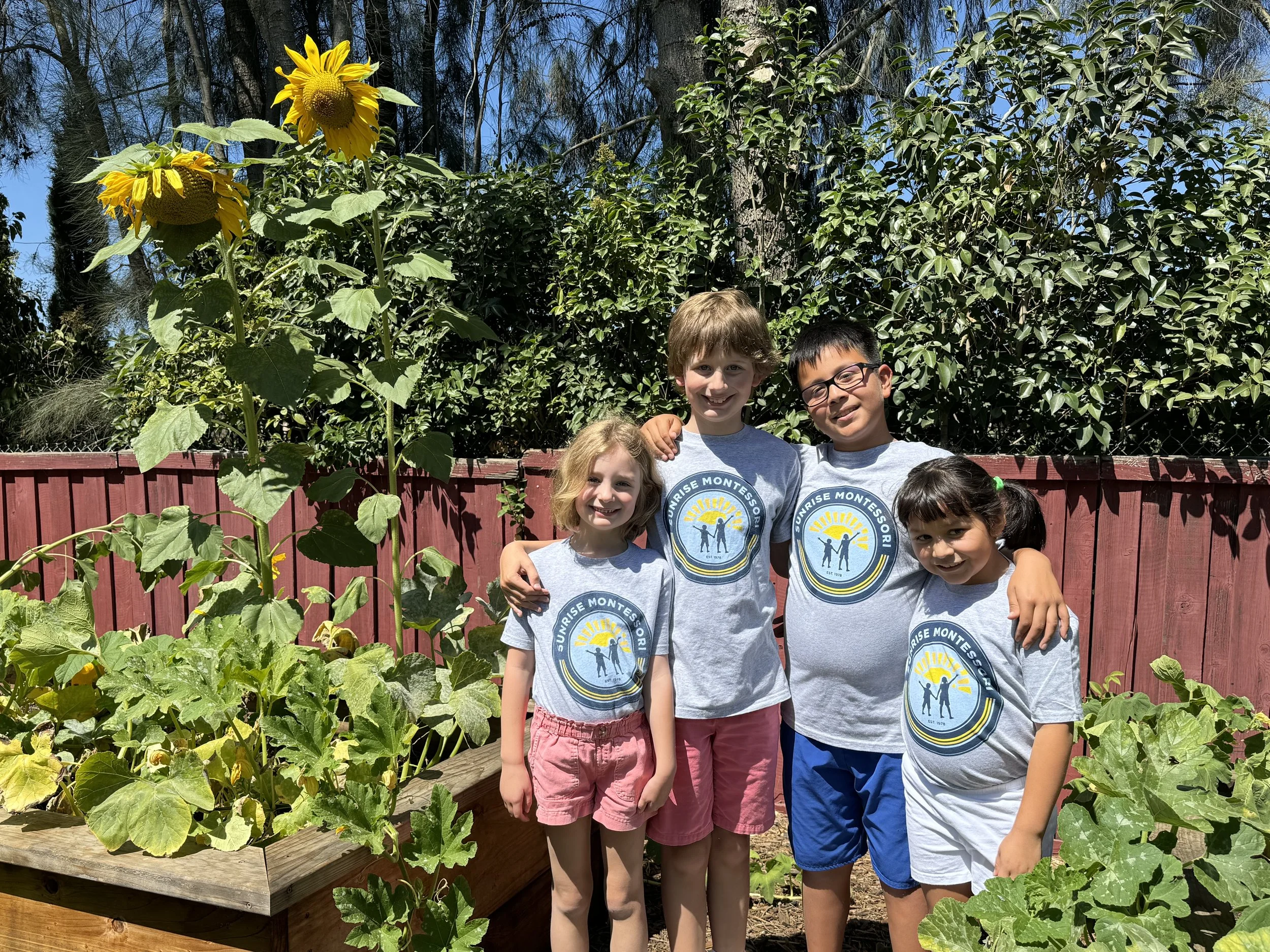 Exploring Montessori Education in Napa: Meet Sunrise Montessori