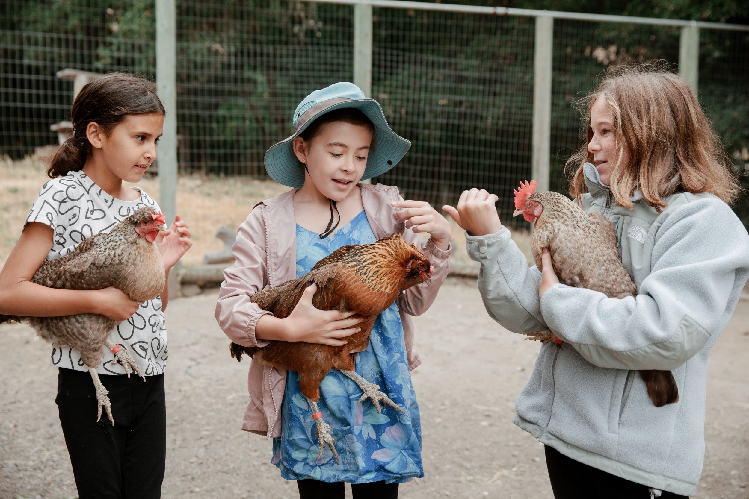 Connolly Ranch Summer Camp 2026