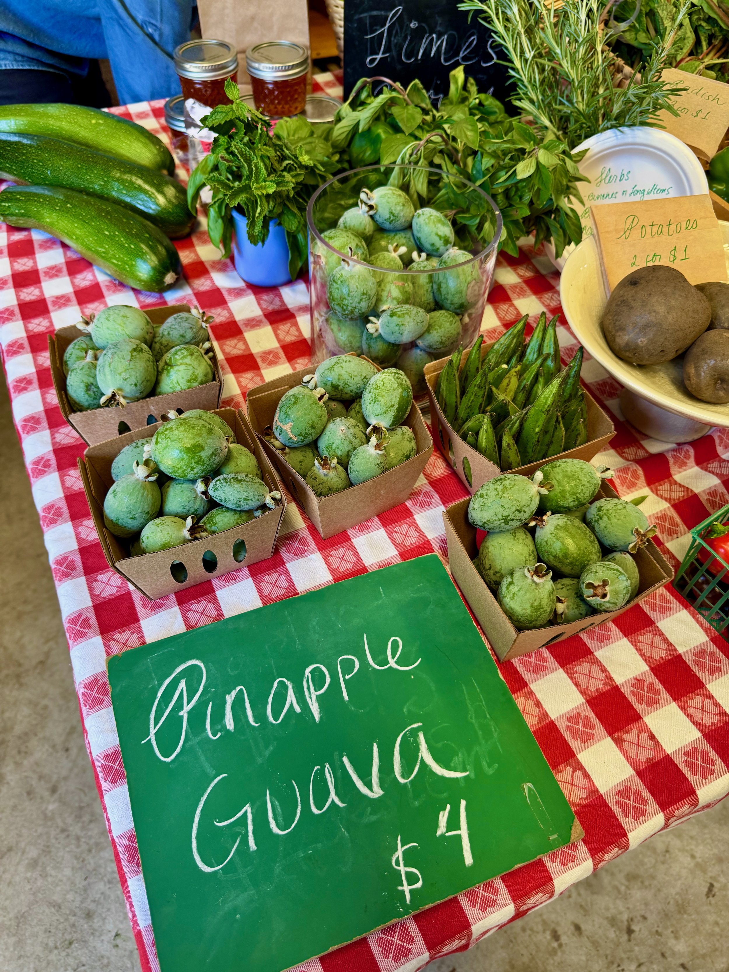 Sonoma Garden Park: A Family-Friendly Place to Explore in Sonoma