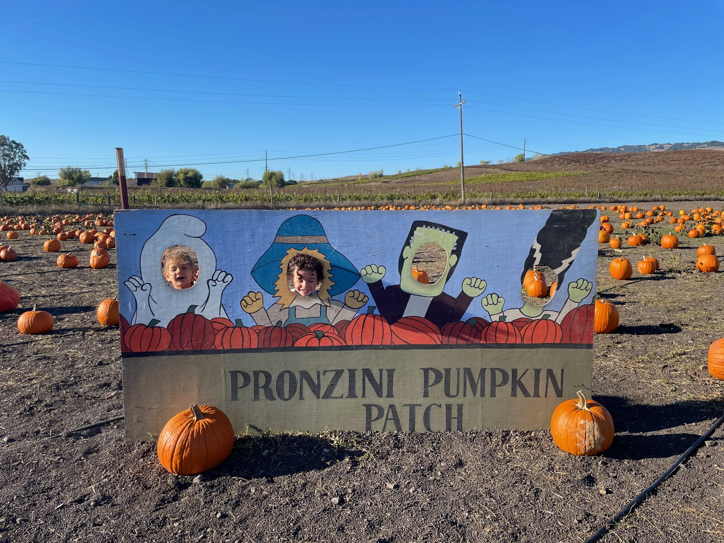 A Family Day at Pronzini Farms Pumpkin Patch in Petaluma