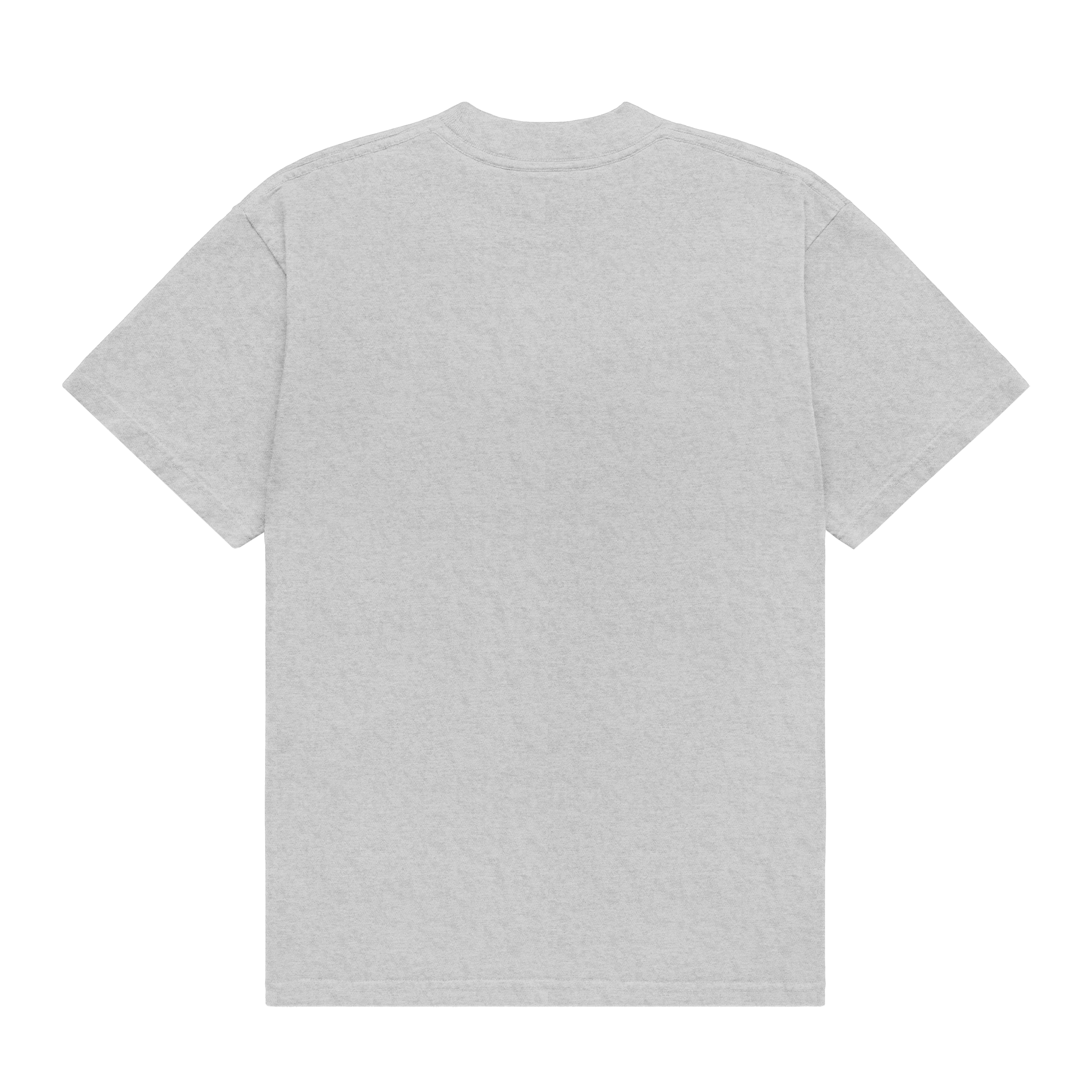 ClassicLogo_Tee_Grey_Back_BLANK.png