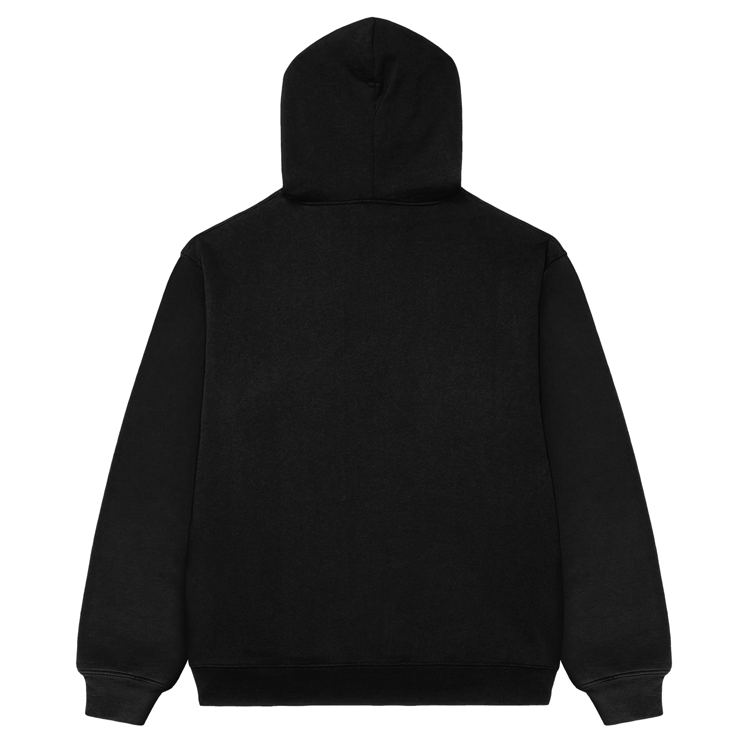 ClassicLogo_Hoodie_Black_Back.png