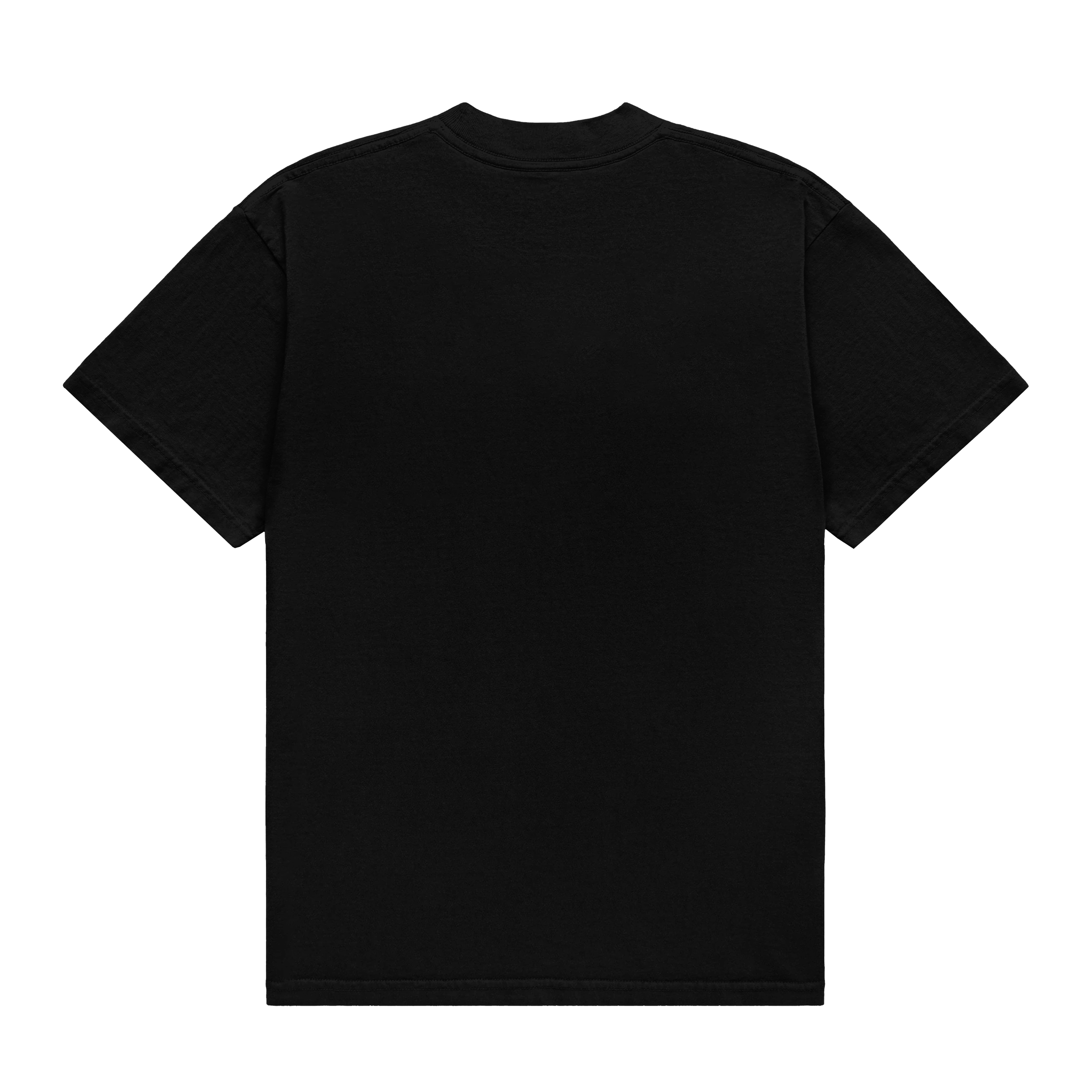 ClassicLogo_Tee_Black_Back_BLANK.png