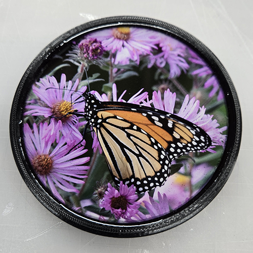 Monarch (100355-0029)