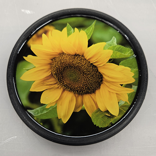 Sunflower (100353-0012)