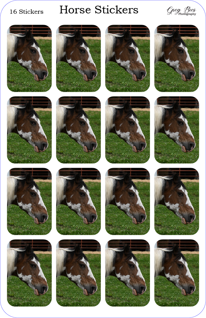 Horse (100561-1684)