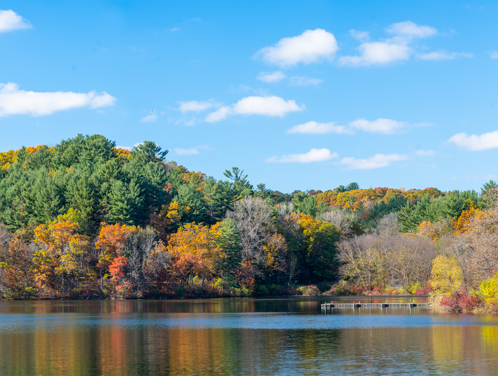 Cox Hollow Lake (100298-0235)