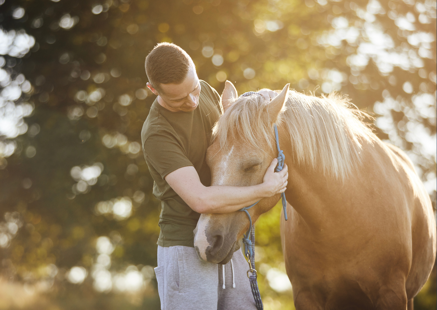 Man helpt een paard met een blauwe halster in een groene omgeving tijdens zonsondergang.