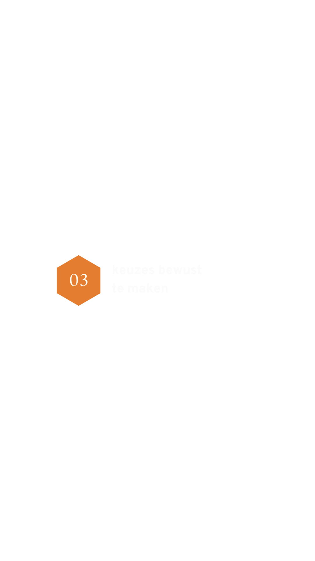 Een infographic met de tekst '03 keuzes bewust te maken' en een oranje hexagoon met het nummer 03.