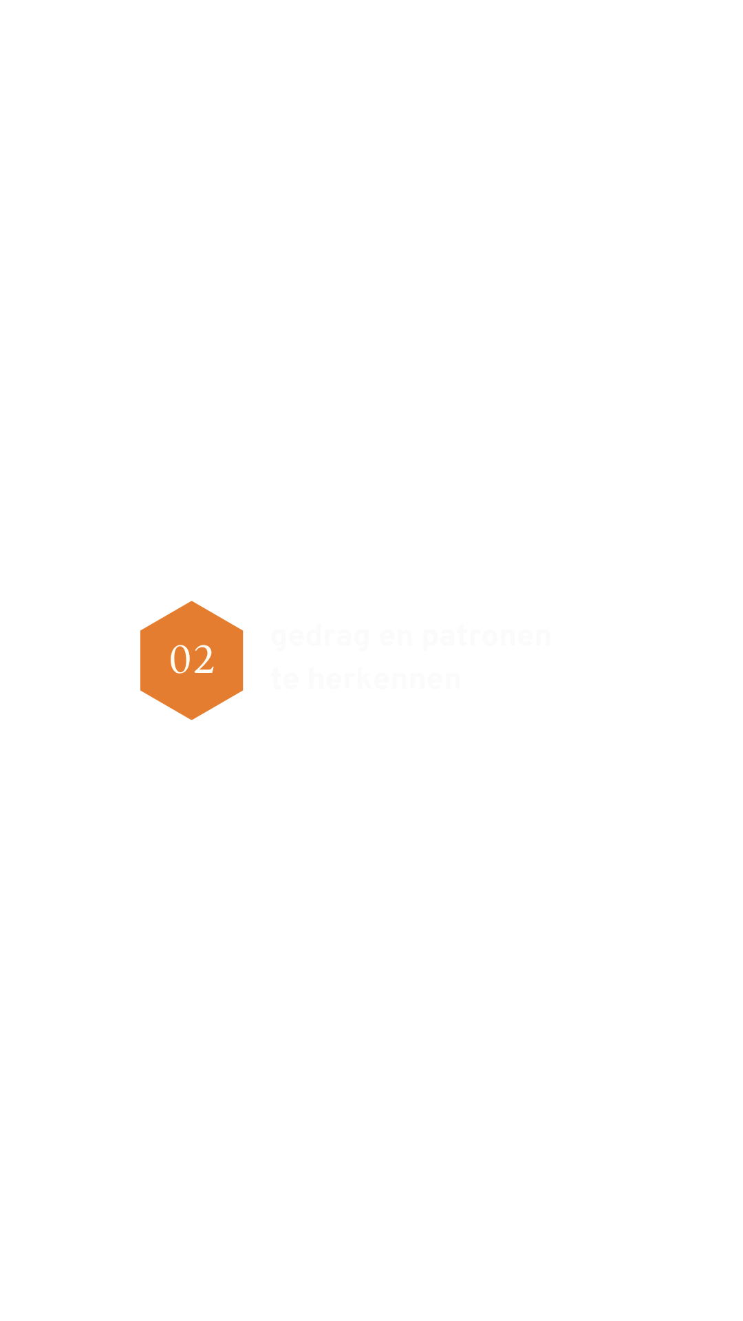 Een infographic met de titel 'gedrag en patronen te herkennen', gemarkeerd met een oranje hexagon nummer 02. De achtergrond is zwart, met witte tekst.