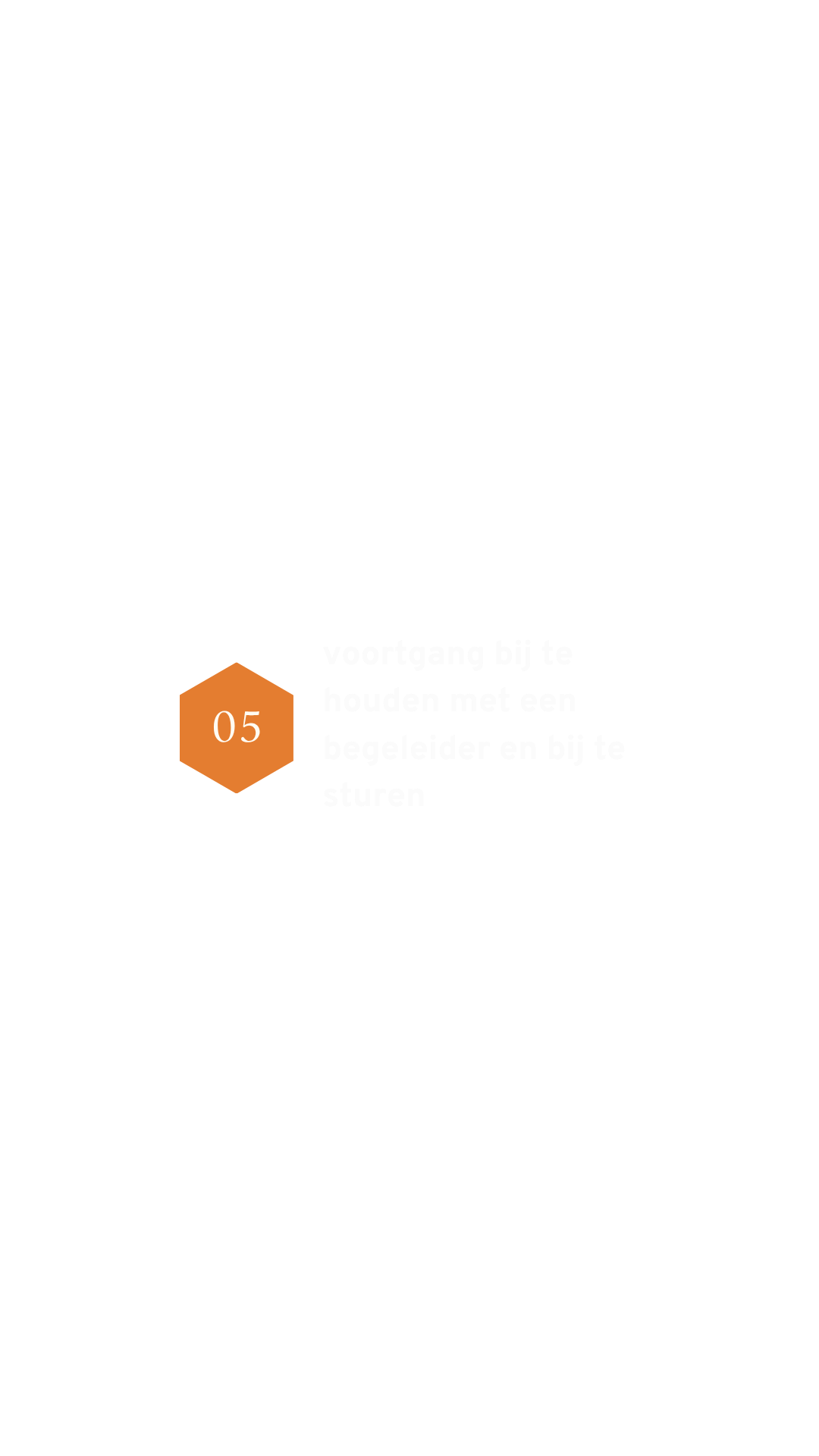 Grafiek met nummer 05 en tekst: voortgang bij te houden met een begeleider en bij te sturen.
