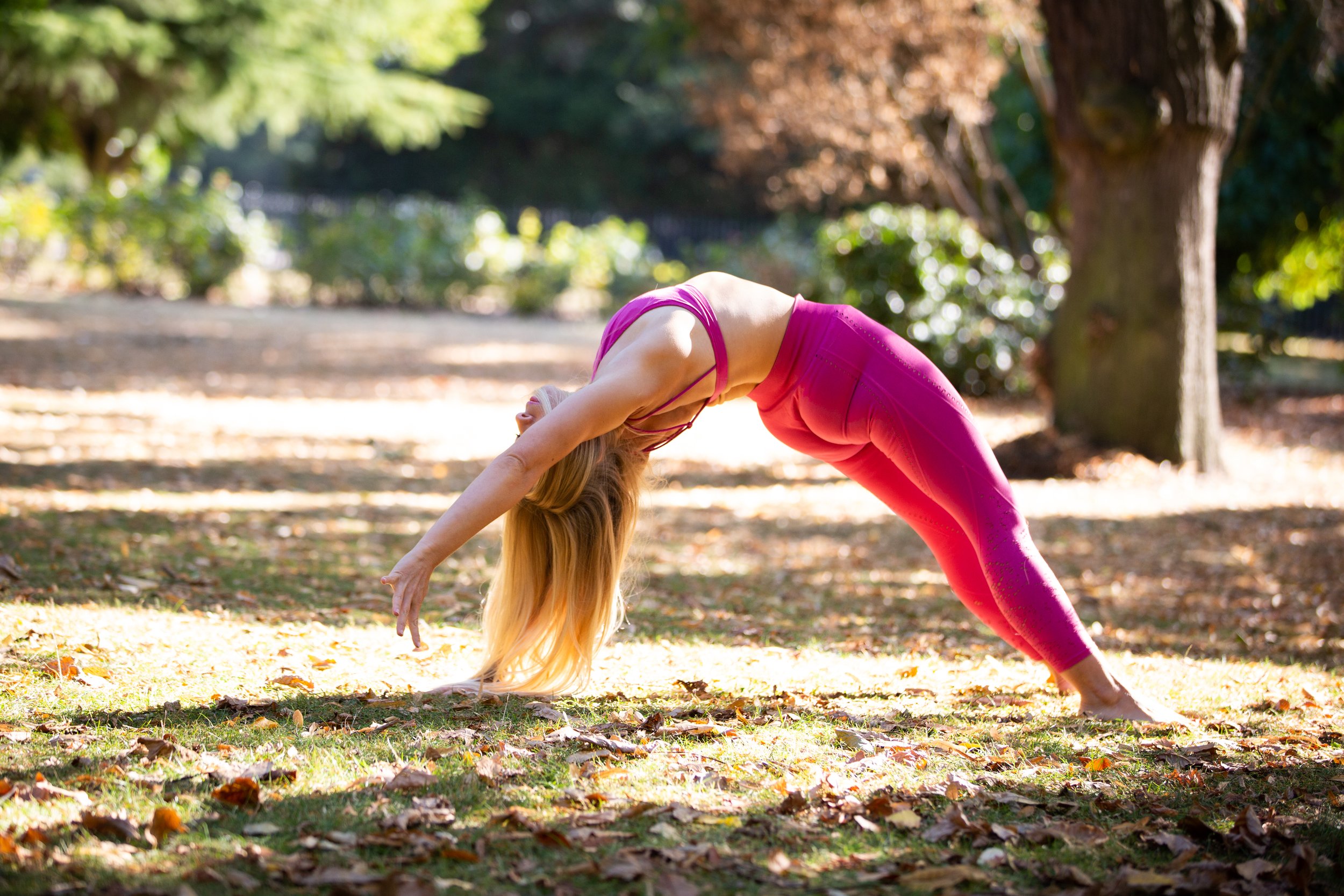 Finding Grace: Embodying Our Embryological Foundations