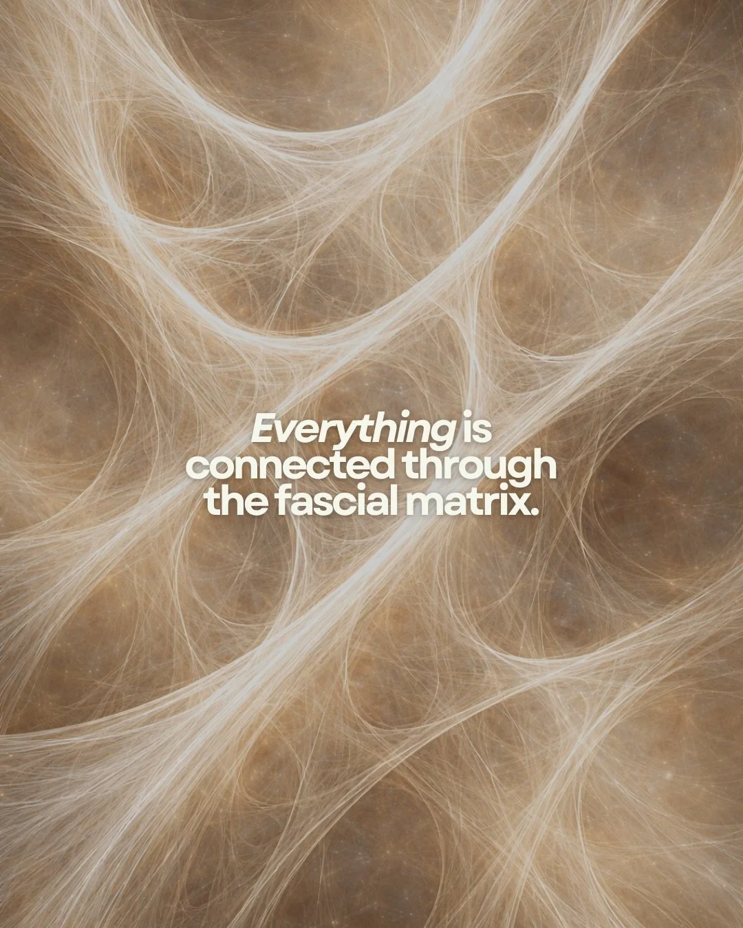 We tend to talk about the body in parts as if it all exists separately, but that&rsquo;s really not the case.

Fascia is connective tissue that surrounds every structure in the body. What we label as muscle, tendon or ligament are not isolated parts,