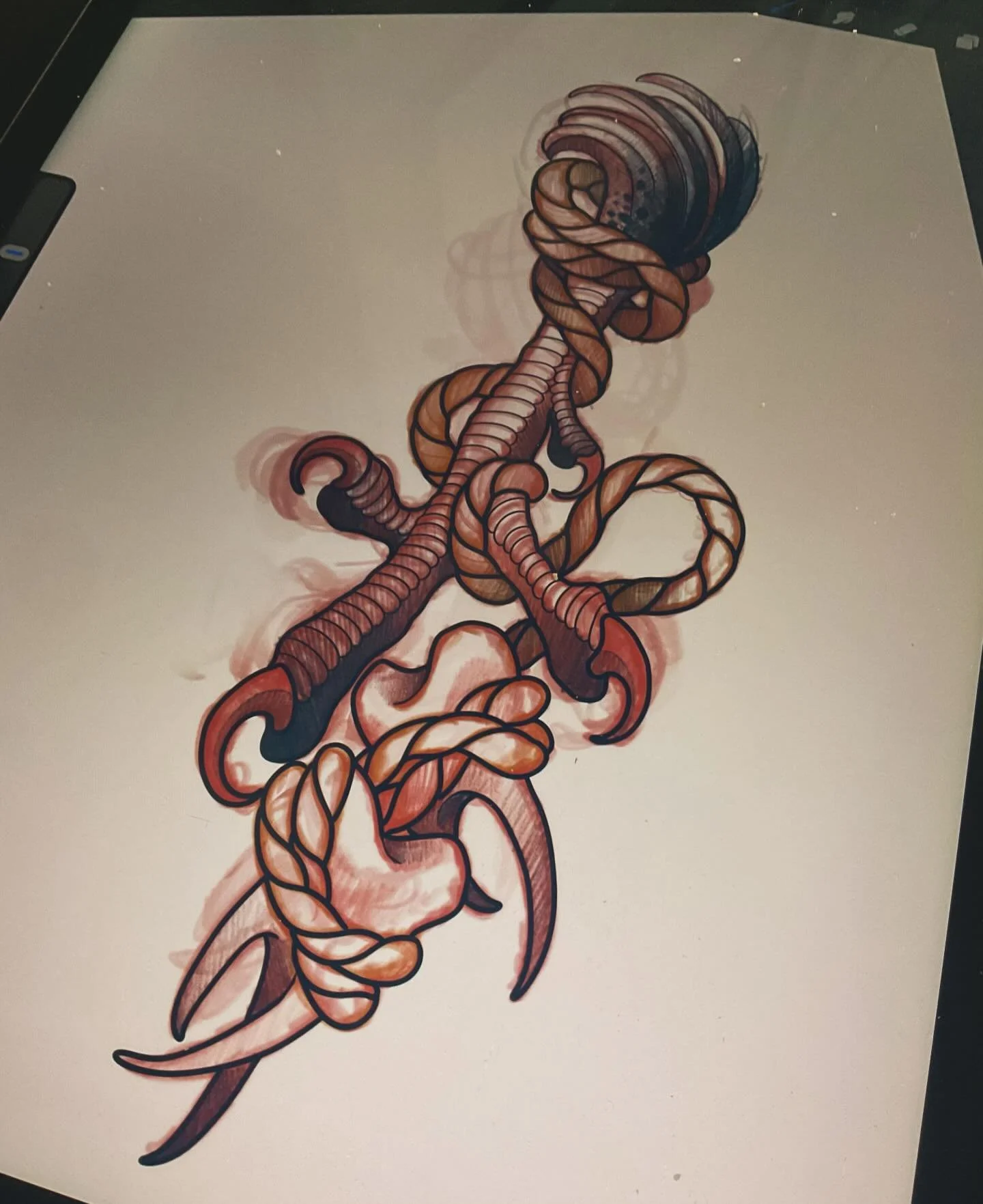 Birds teeth fill some gaps available @1853tattoo 

#neotraditionaltattoo #oamaru #oamarutattoo #drawing