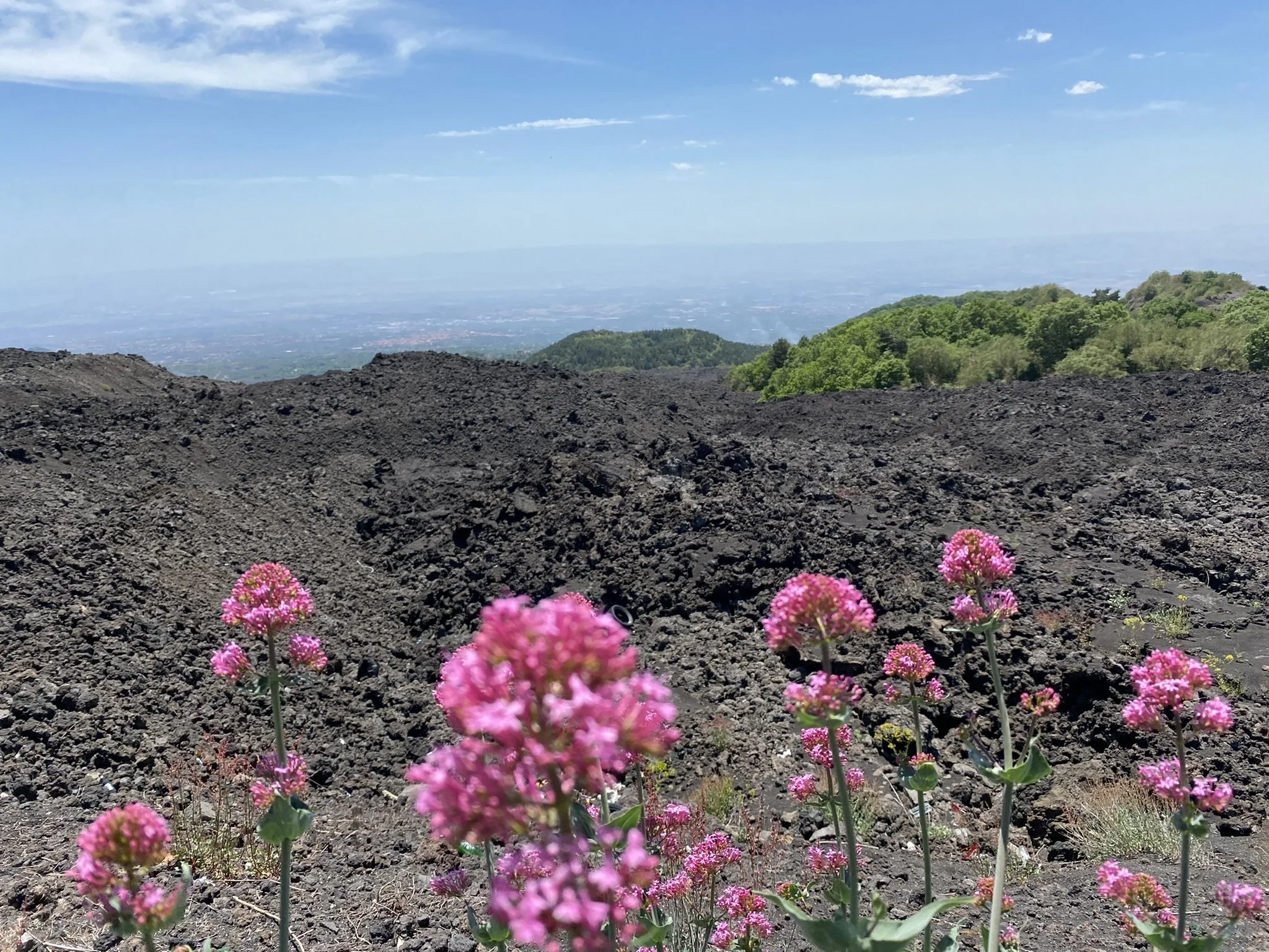 landscape on the drive up Mt Etna