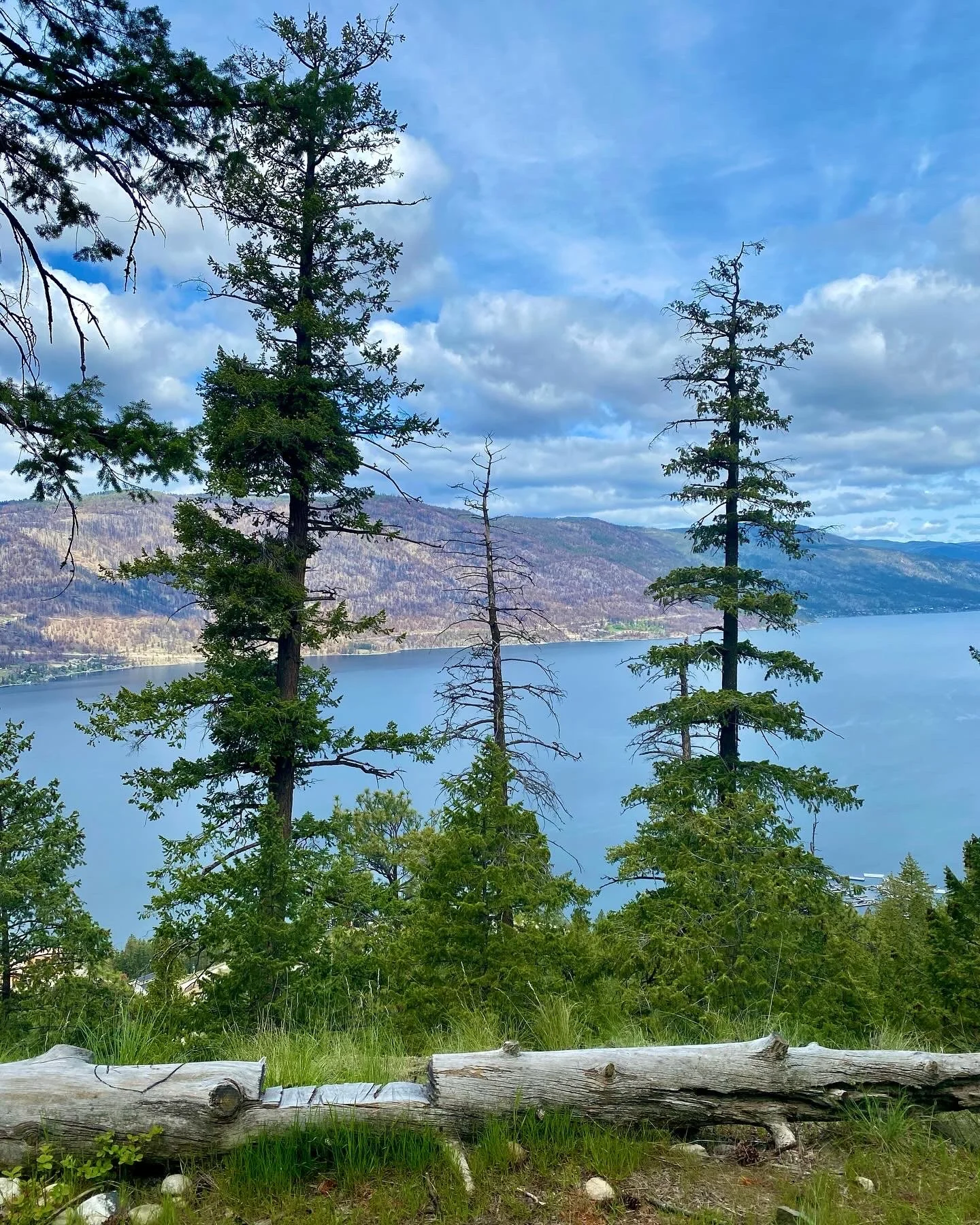 Kelowna, BC, Canada