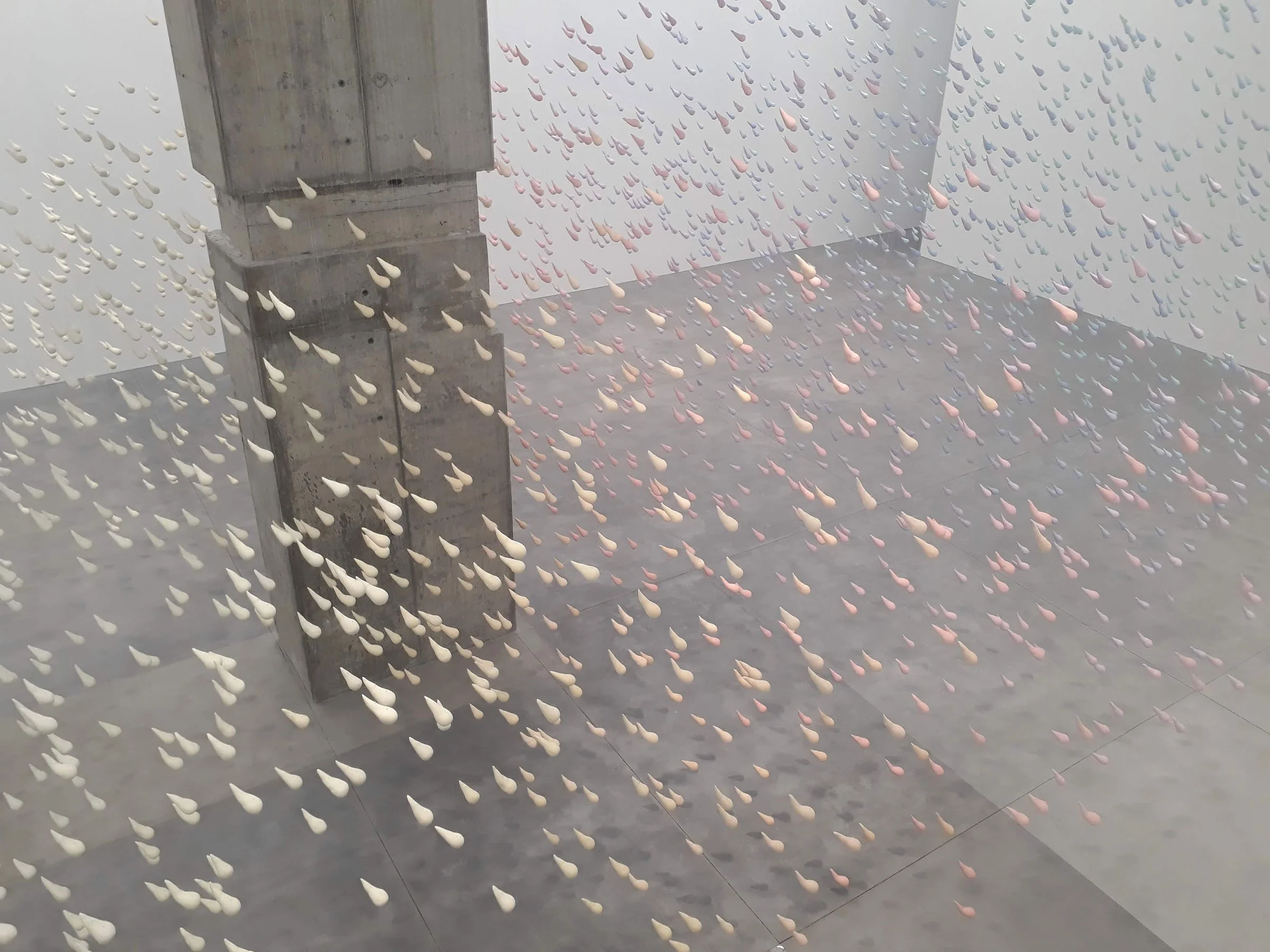 20191020_202012.jpg