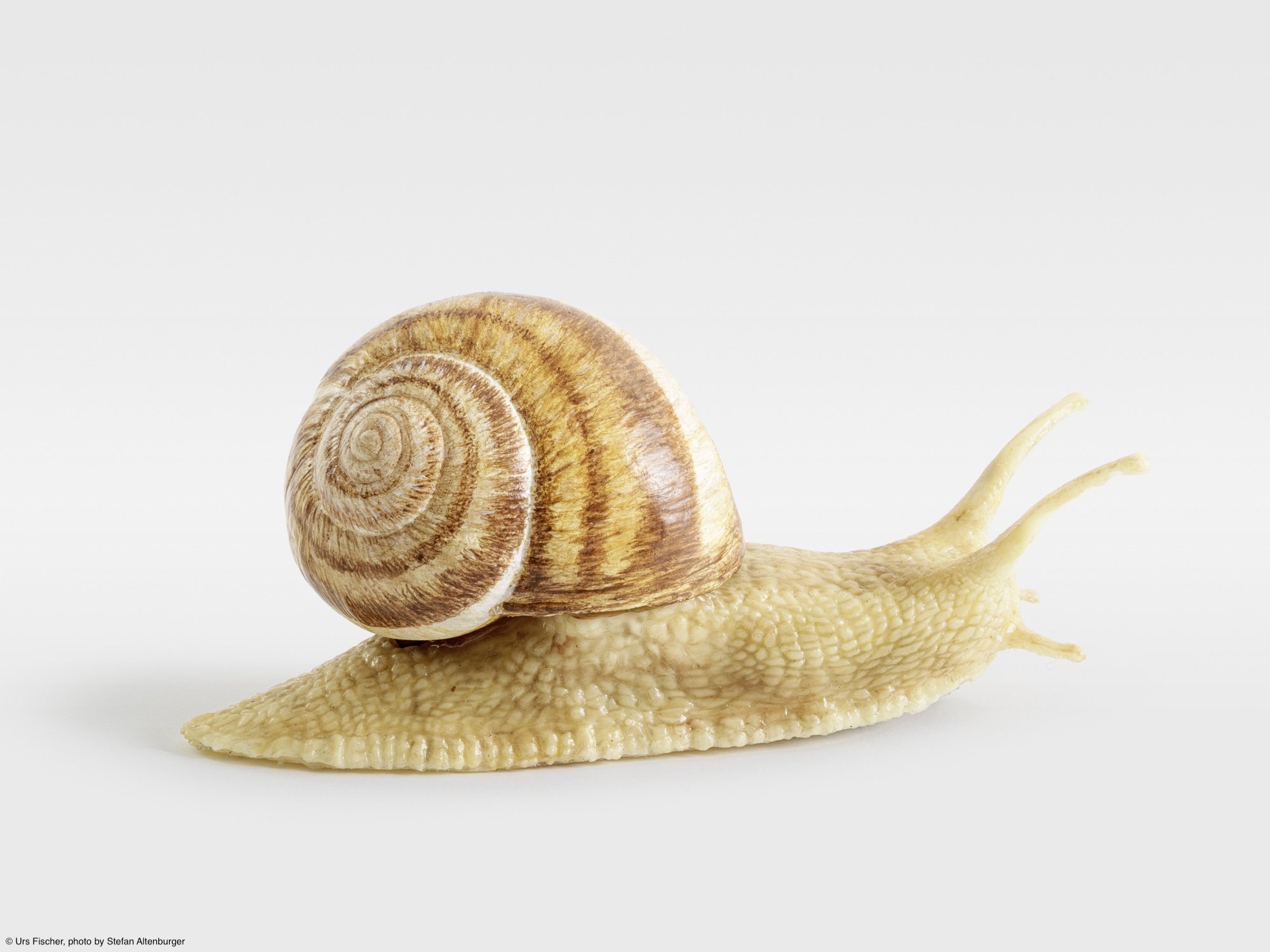 UF19066_Maybe_002_RT.jpg