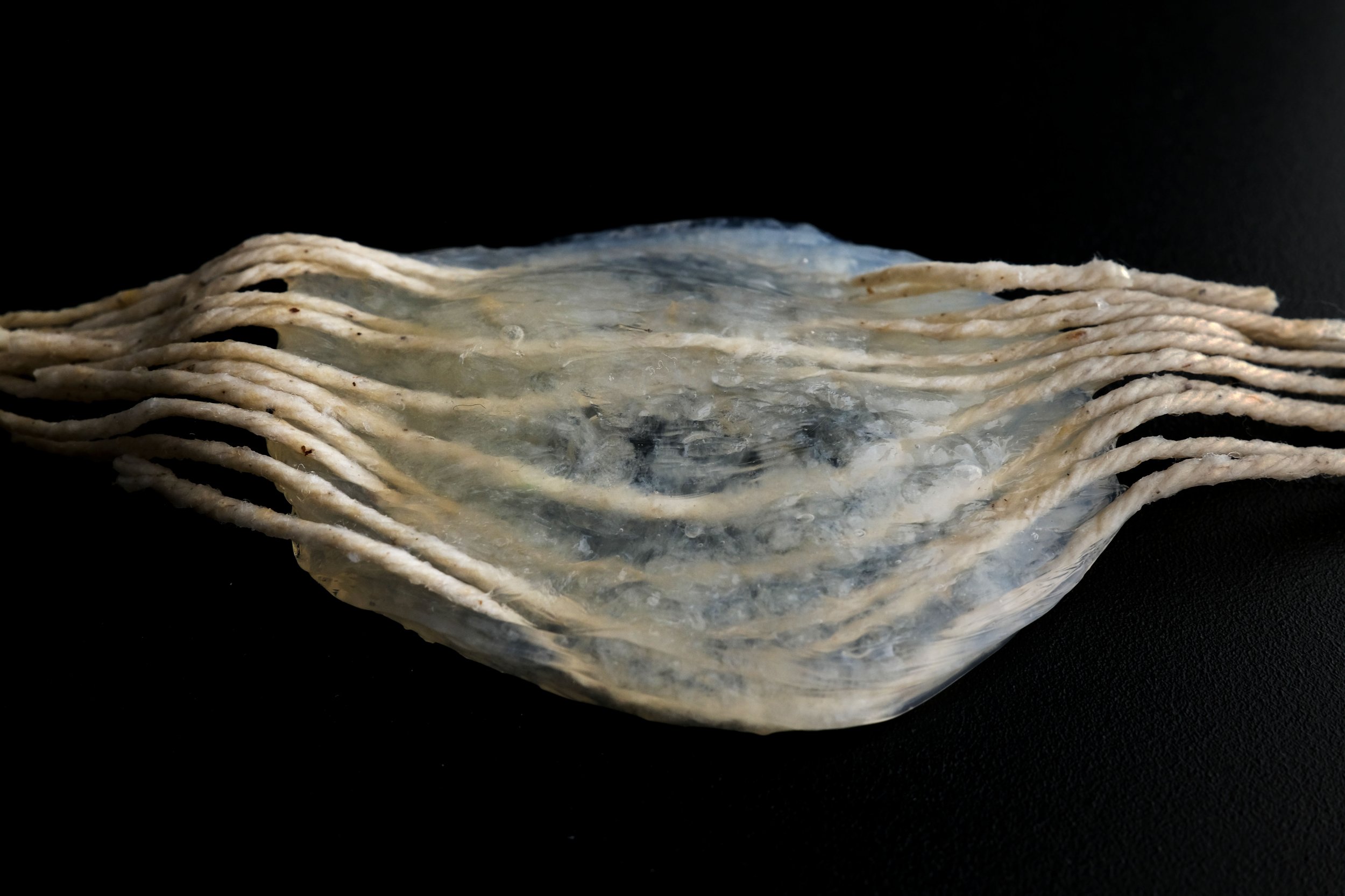 DSCF0491.jpg