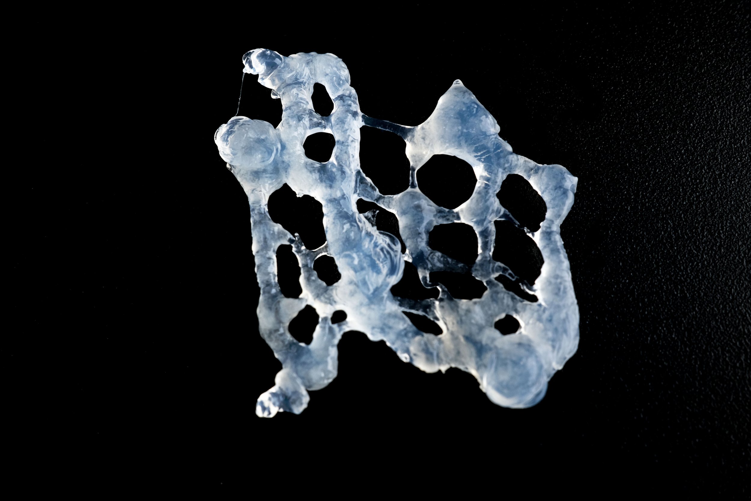 DSCF0521.jpg