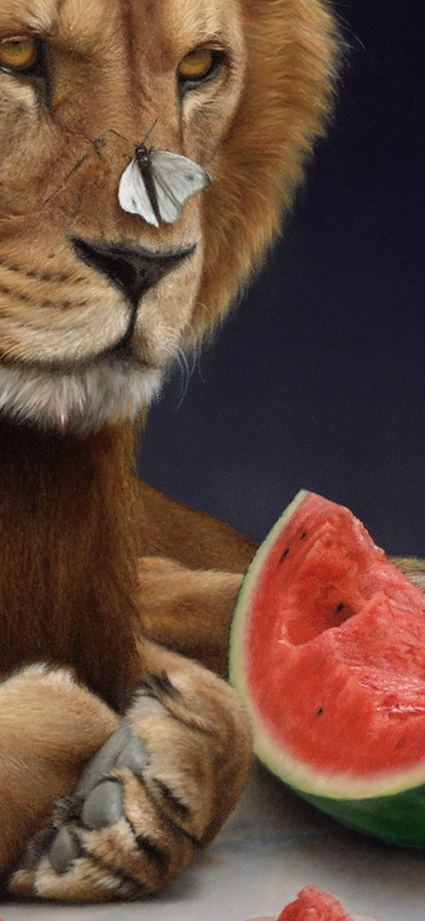 Lion with a butterfly on its nose next to a slice of watermelon