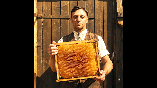 Flux.1 AI-KLINGV2Master-AlbericHoneymp4_1.gif