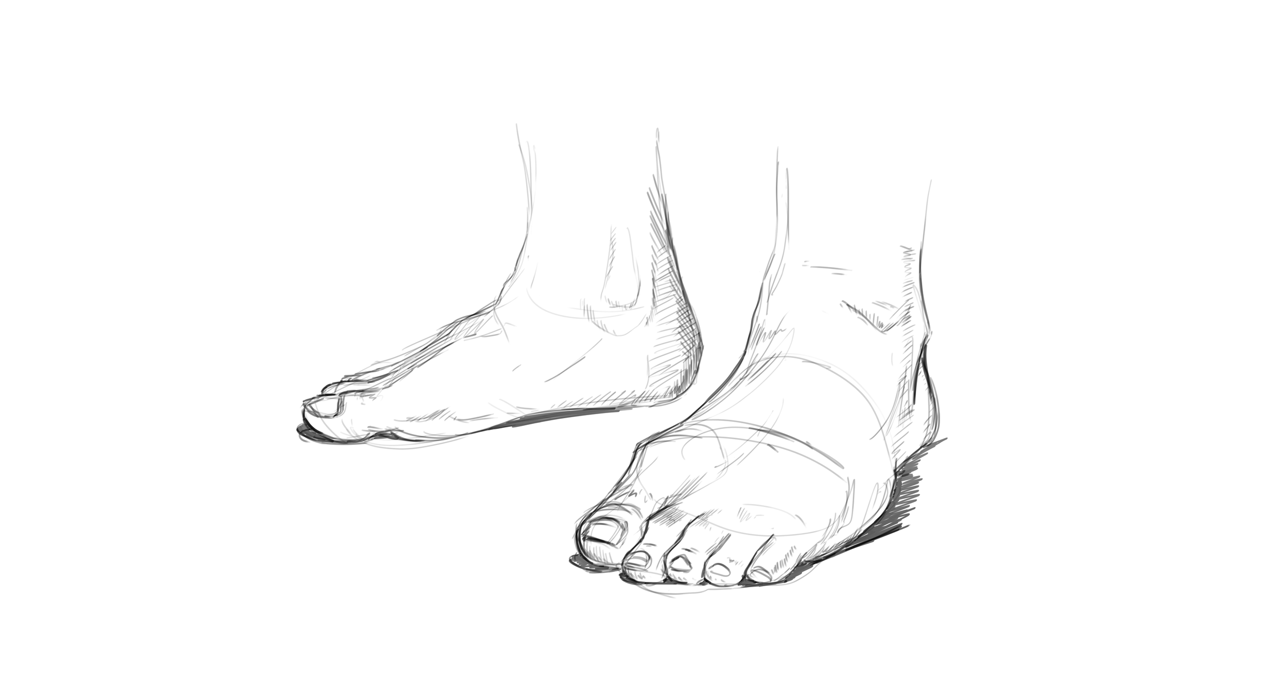 Feet_Study_3.png