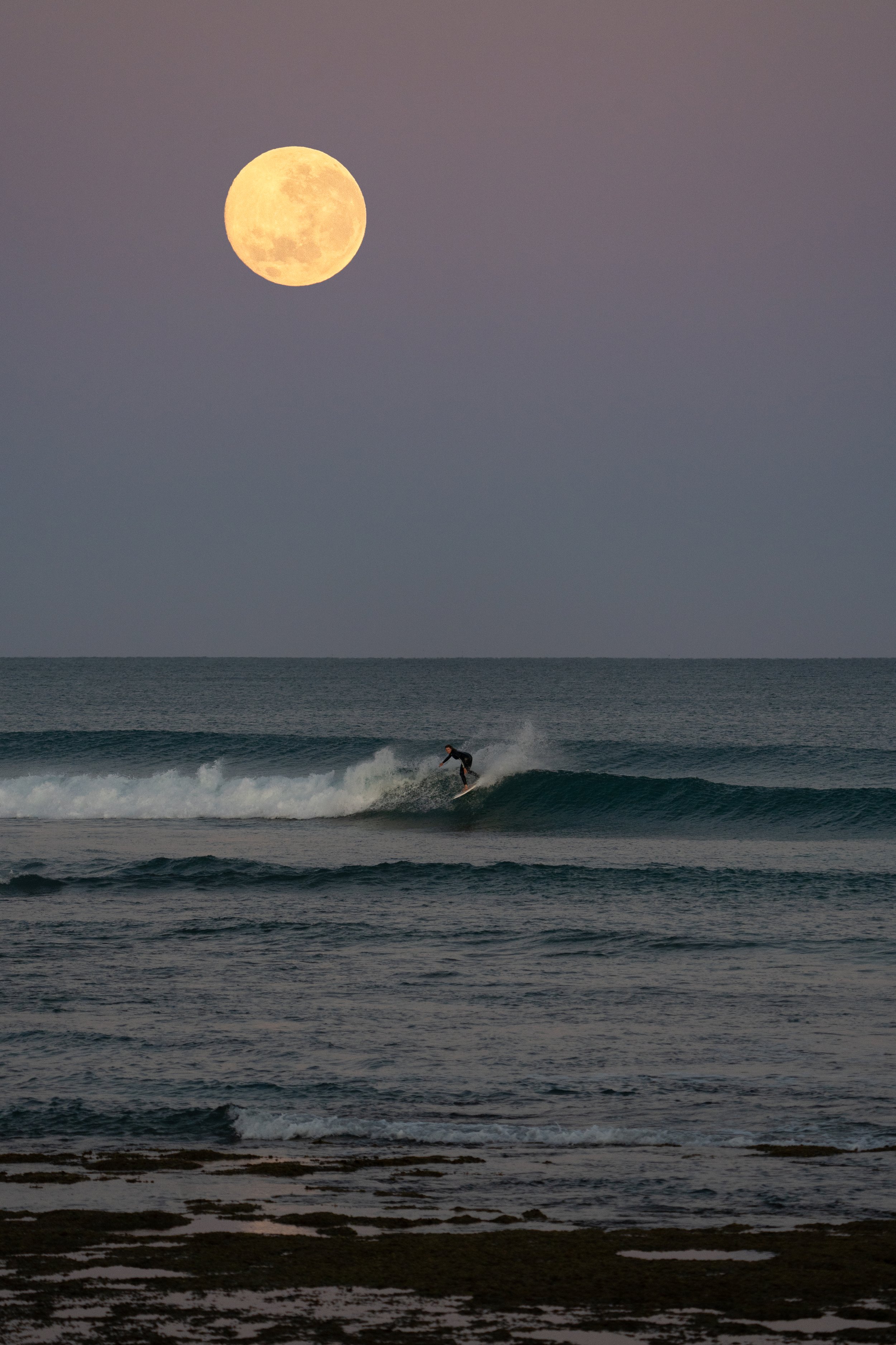 lizzie moonset1.jpg