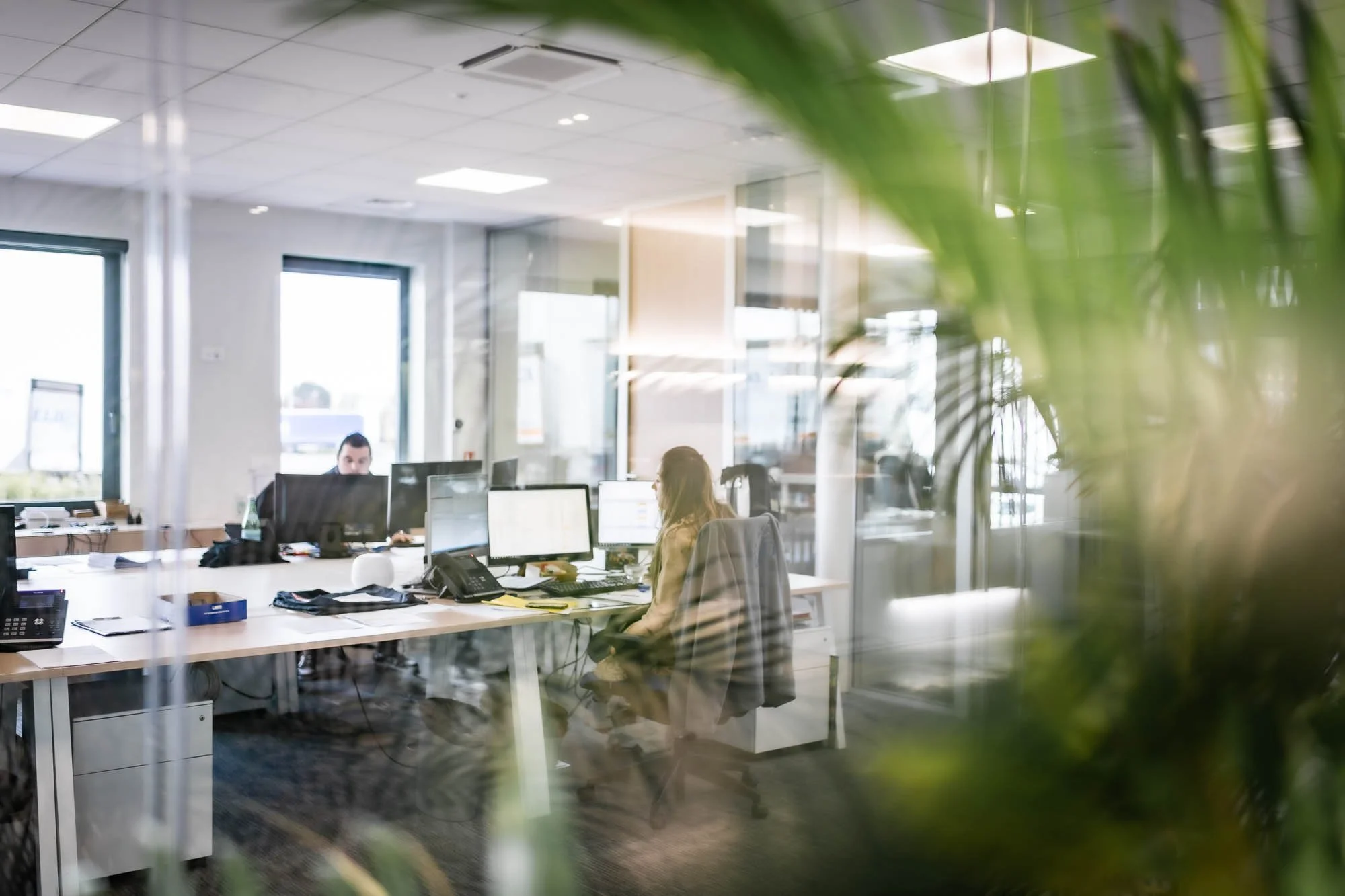 Personnes travaillant dans un bureau moderne avec ordinateurs et plantes vertes au premier plan.