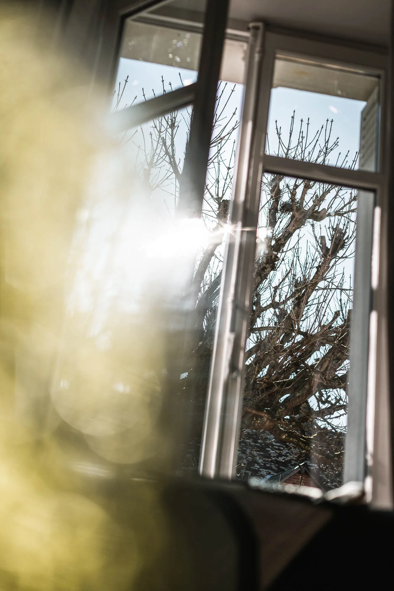 Fenêtre ouverte avec vue sur un arbre sans feuilles, lumière du soleil brillante à travers la fenêtre, intérieur flou au premier plan.