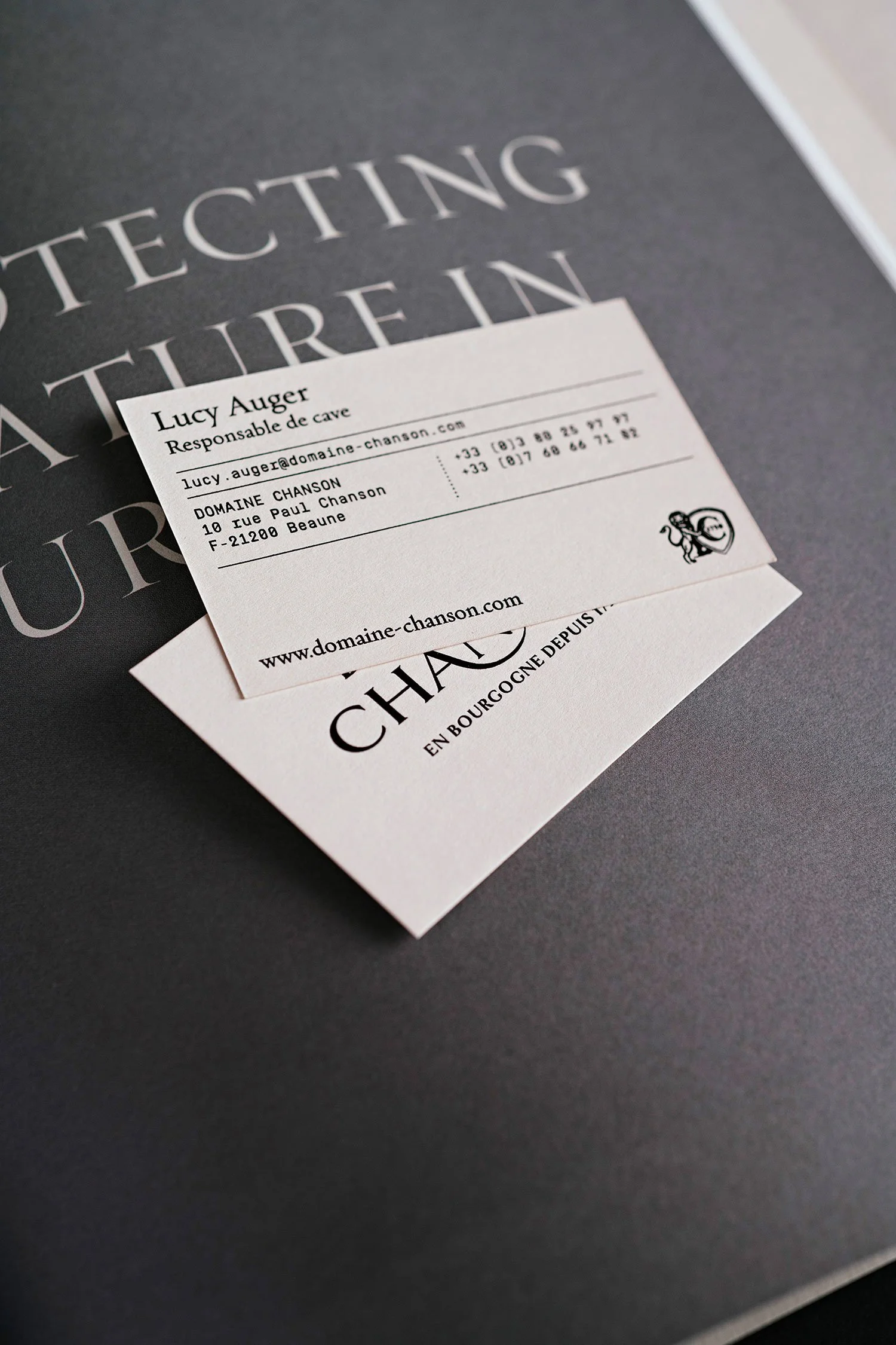Cartes de visite Domaine Chanson conçues par Emma Brante – Le Ciel est Bleu Studio, posées sur une brochure ouverte. Un travail raffiné de branding et d’identité visuelle pour une maison de vins de Bourgogne haut de gamme.