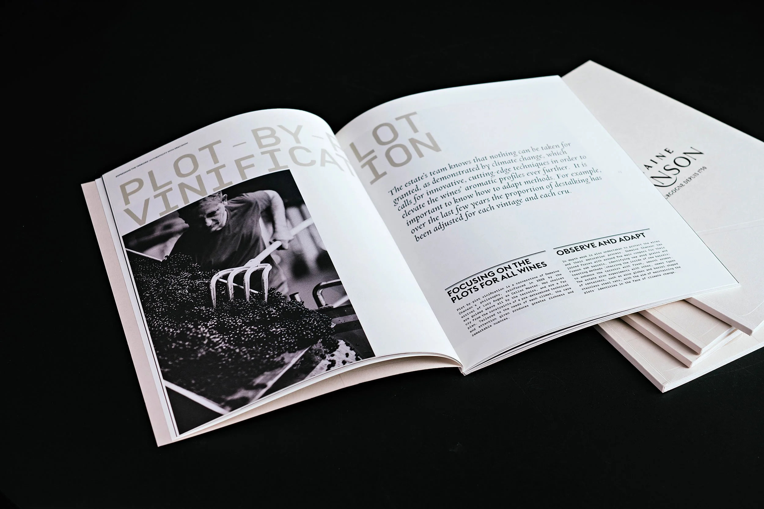Vue intérieure de la brochure du Domaine Chanson, direction artistique et design éditorial signés Emma Brante – Le Ciel est Bleu Studio. Branding haut de gamme pour un domaine viticole de Bourgogne.