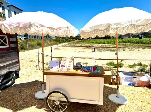 Brought the cart to SLO County for a children's birthday party. This cart is a burst of color & flavor, brimming with delicious and nutritious options. Imagine a spectrum of fresh seasonal fruit, perfectly portioned children's snacks, and a mix of ap