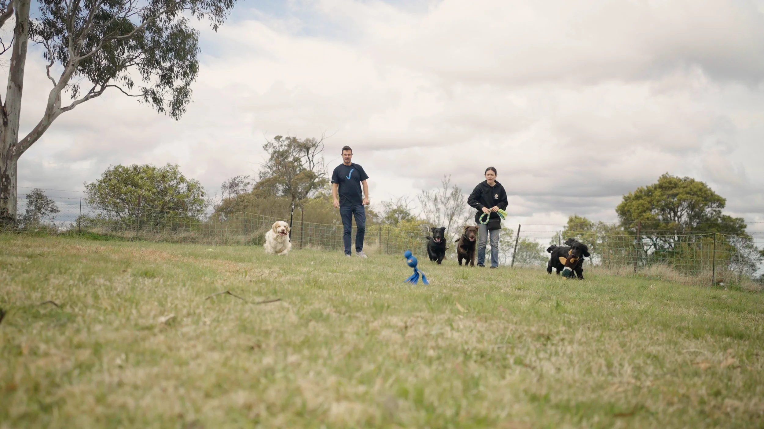 Socialising Your Puppy:                            The Ultimate Guide to Raising a Happy Dog