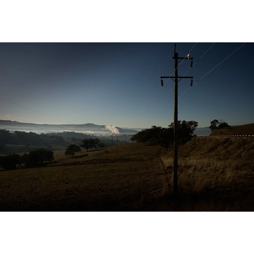 VISYAdelong .jpg