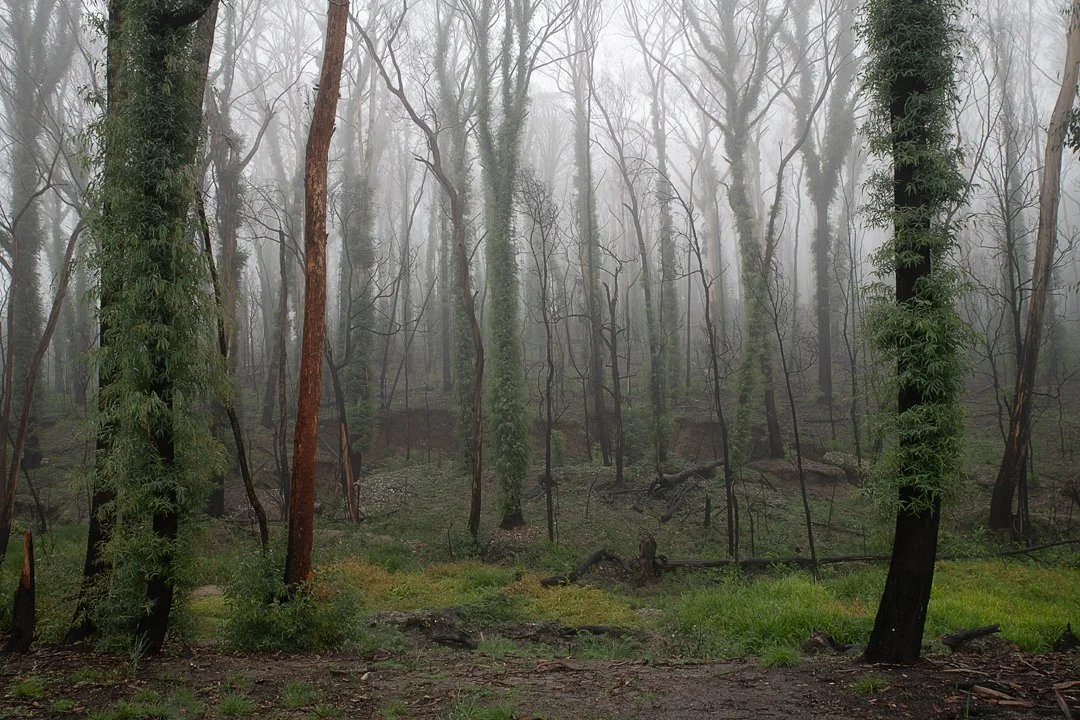 DSC_6425.jpg