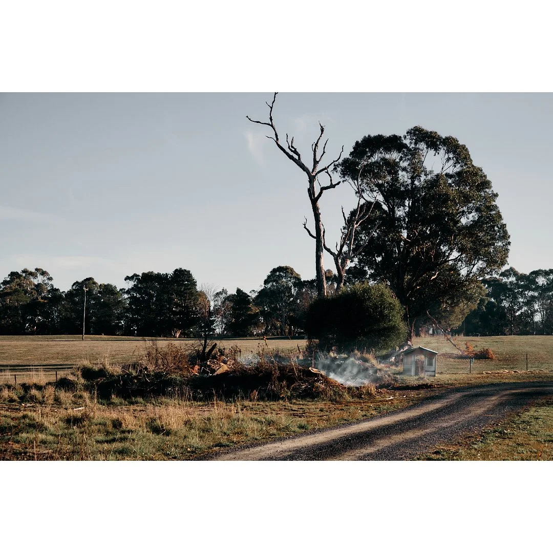 Small Fire rosewood 2.jpg