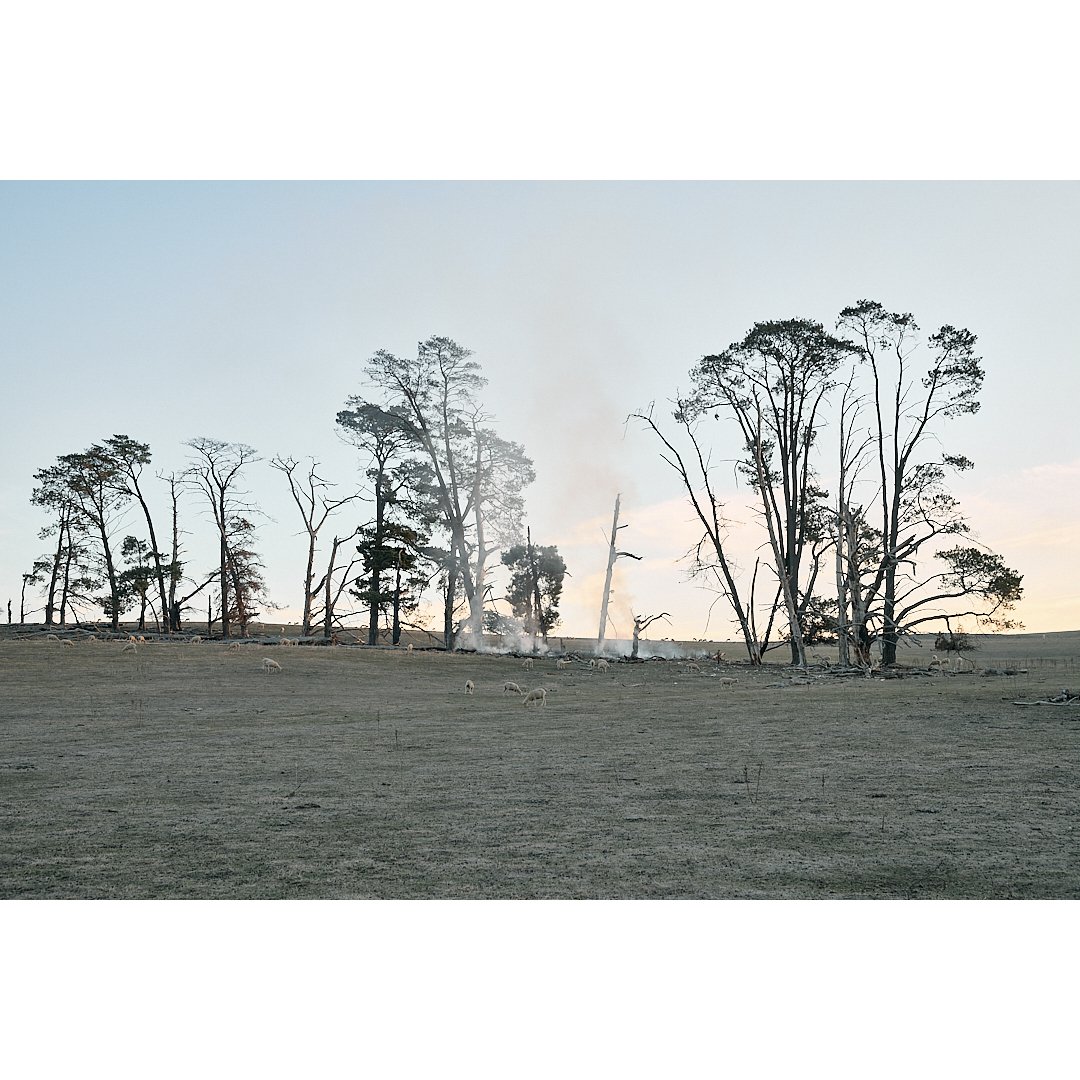 Small Fire Tumbarummba.jpg