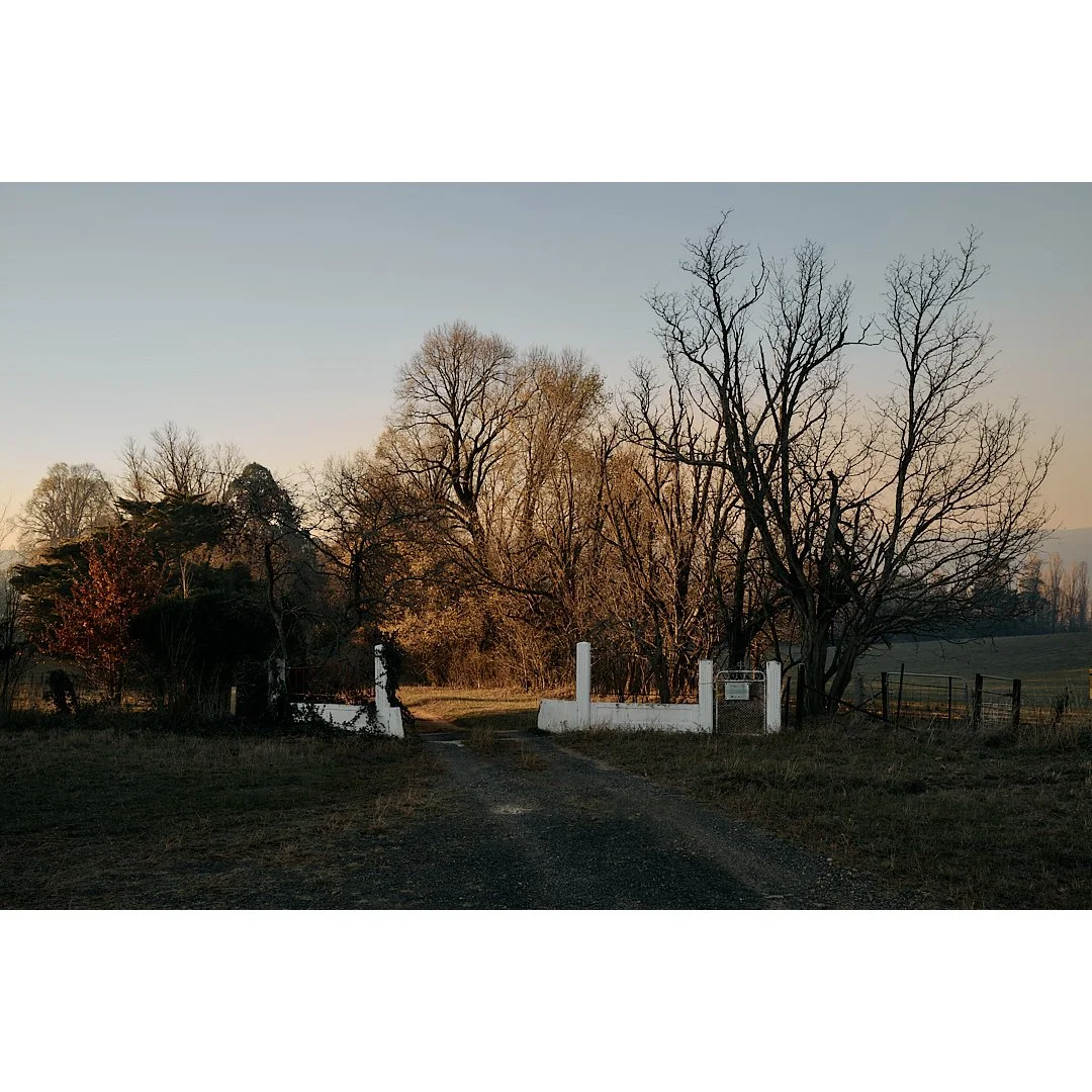 White Gates Tumbarrumba.jpg