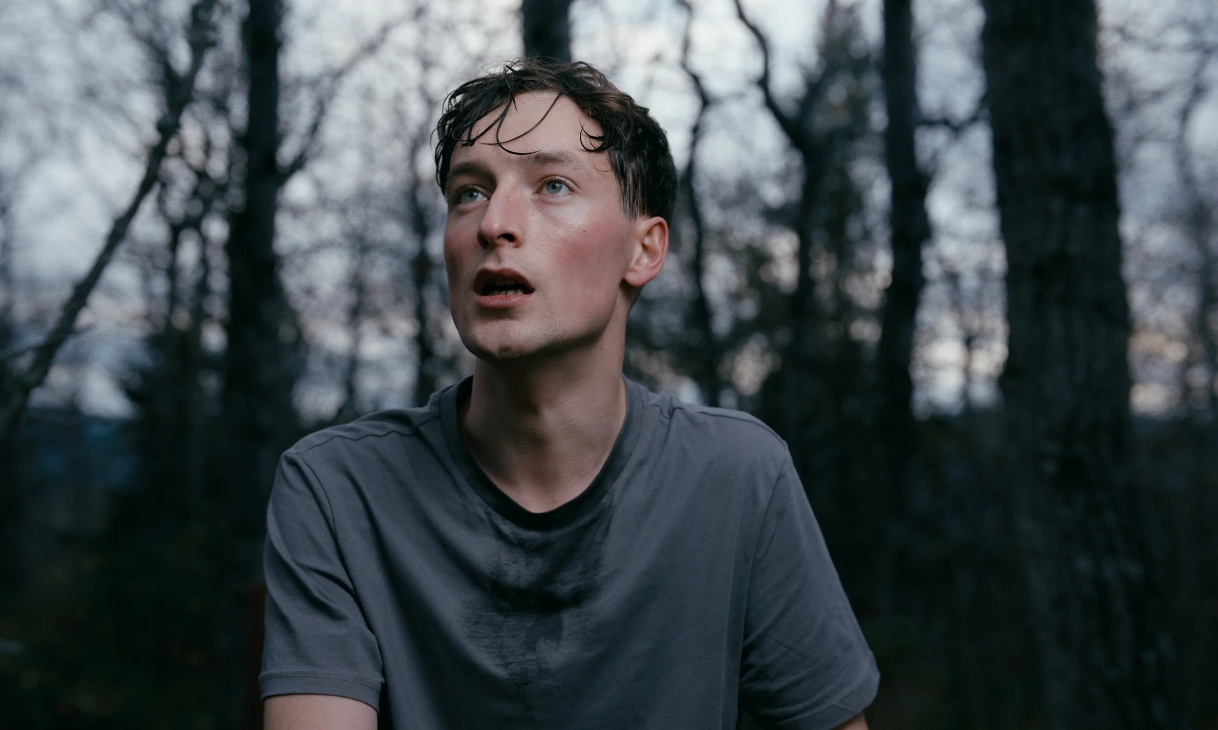 Tistlebu - Shortfilm