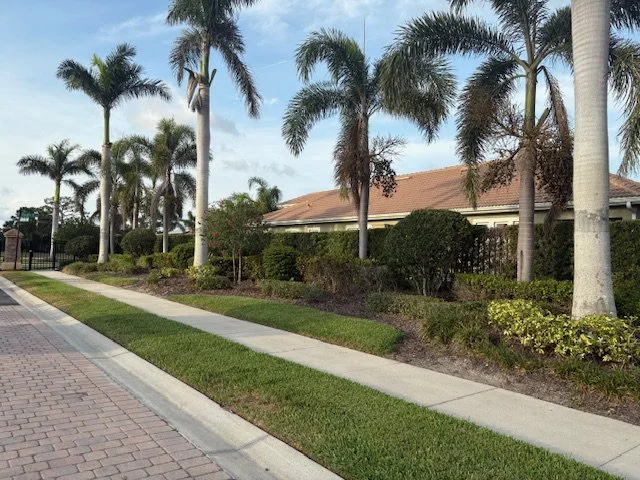 image7.jpeg