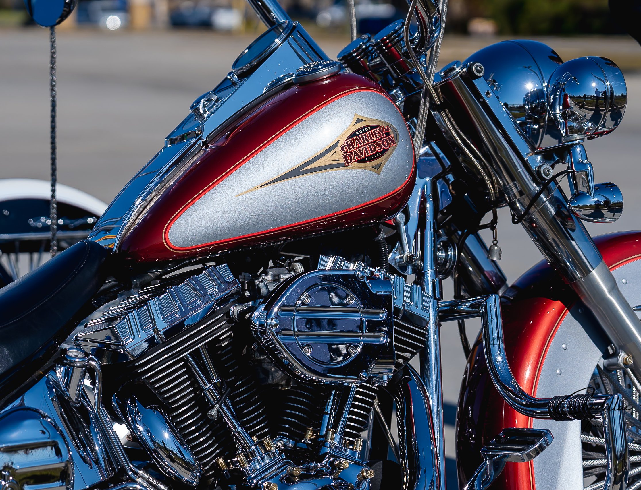 Custom Softail Vicla's & Friends