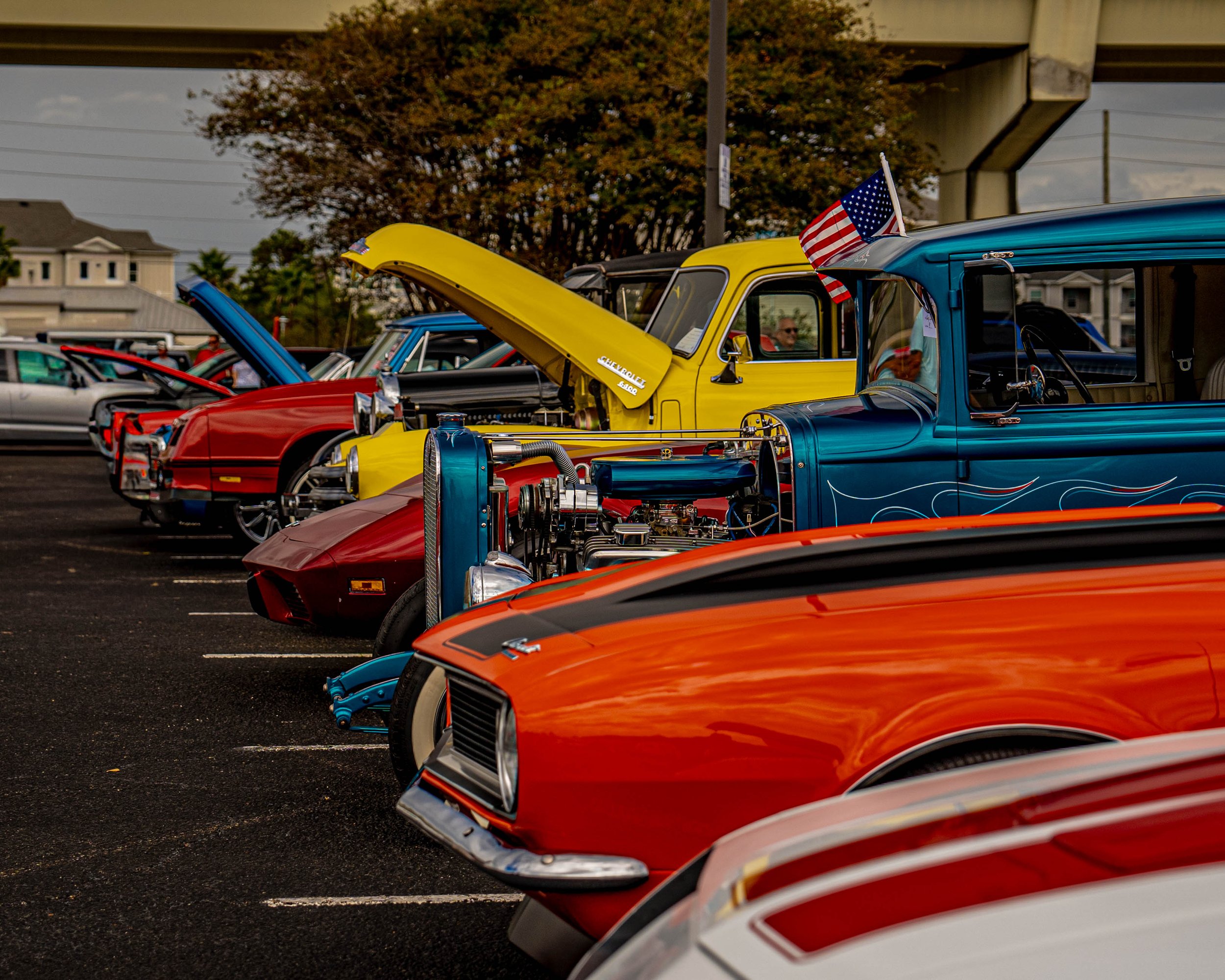 DSC08944-6.jpg