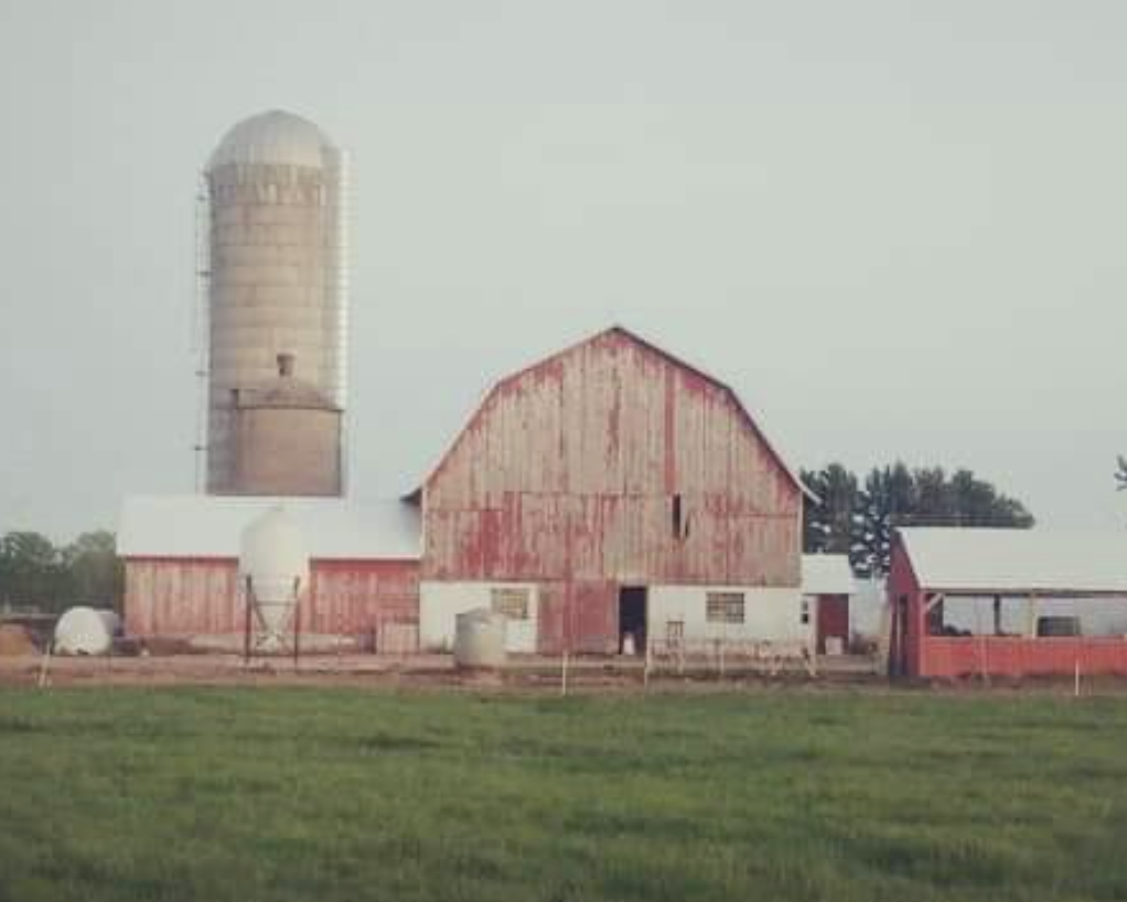 Lonely Oaks Farm Brunch