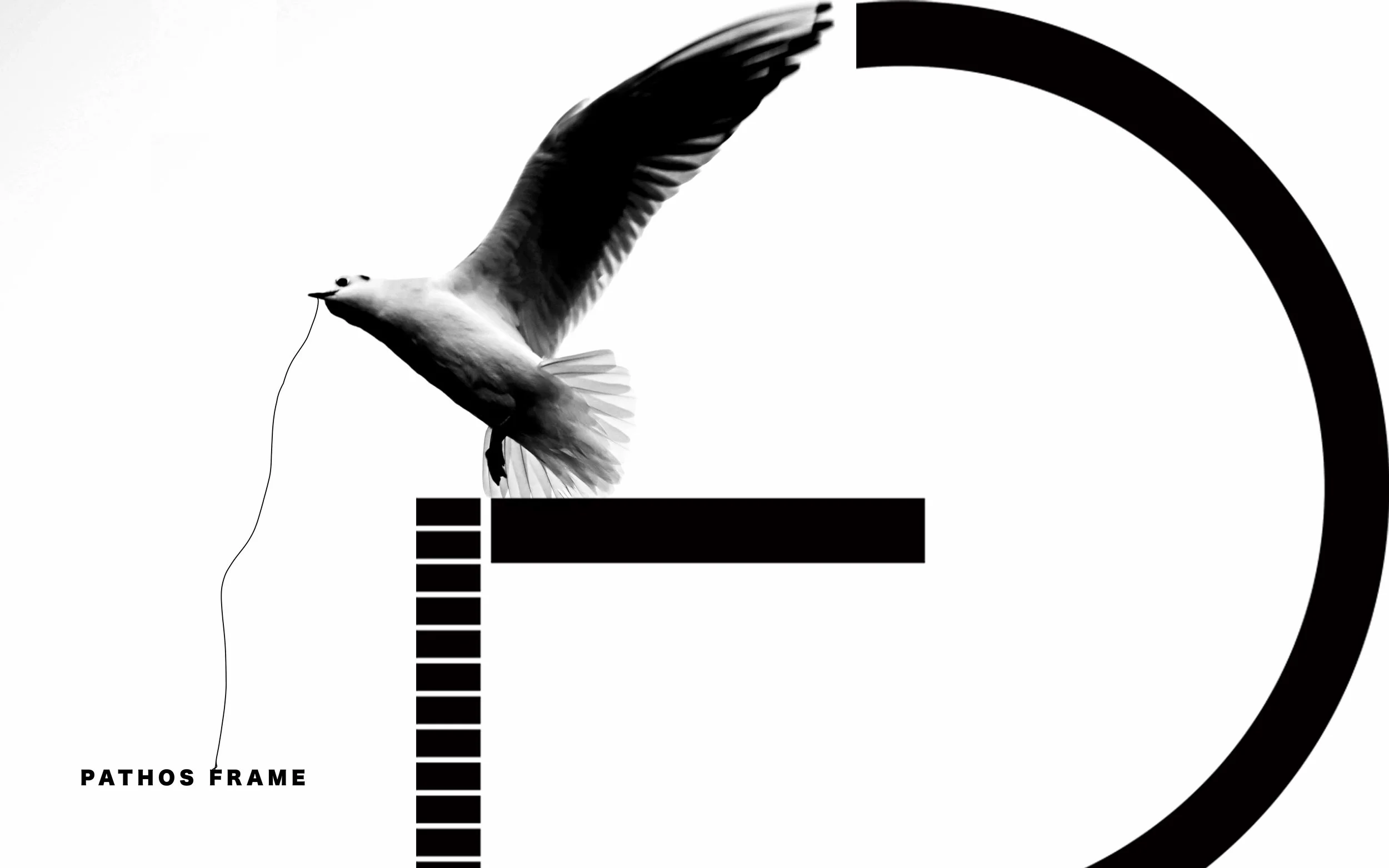 pathos frame photo.jpg