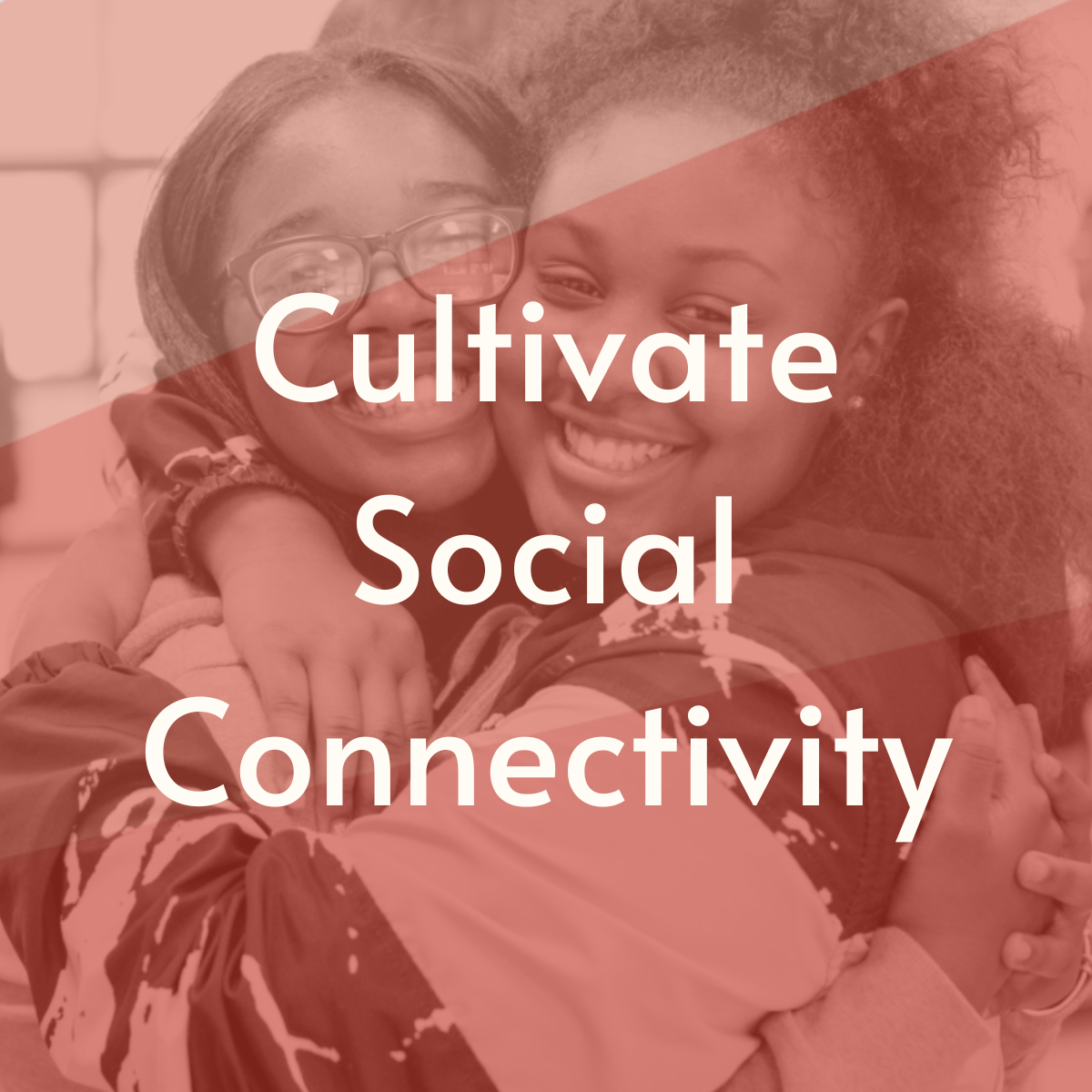 CultivateSocialConnectivity1.png