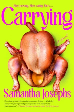 Carrying cover for website.jpeg