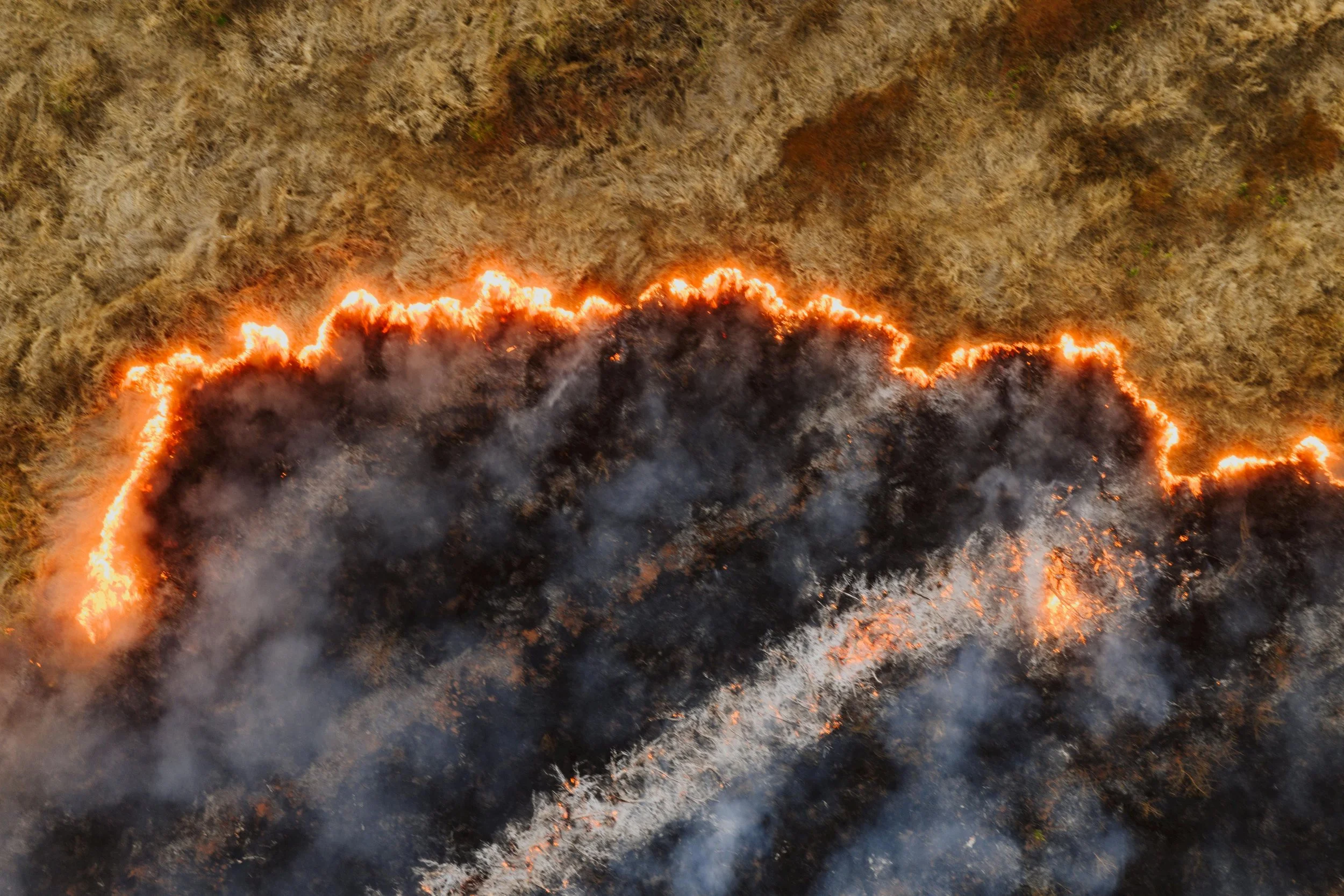 Wildfire at Dunwich Heath