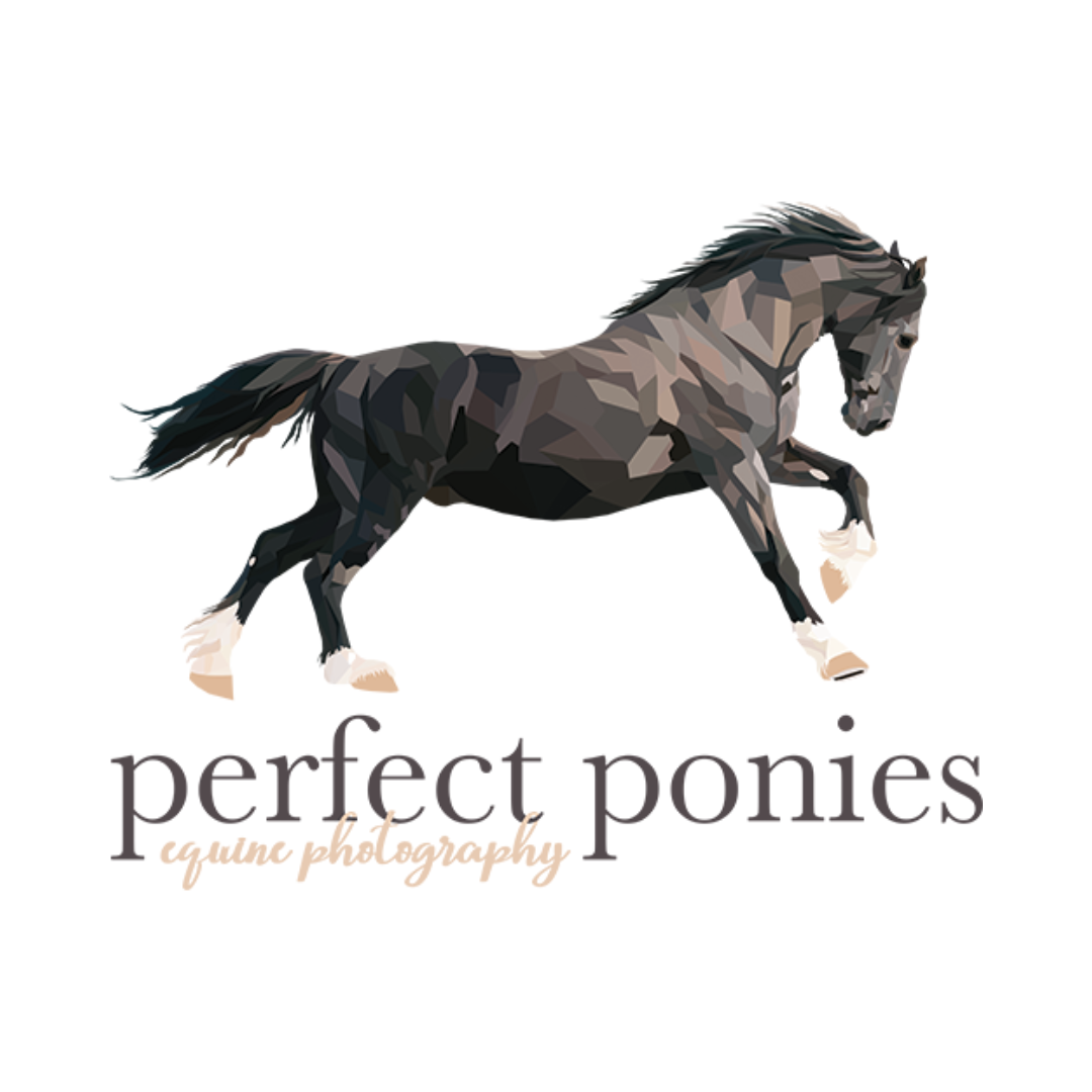 Perfect Ponies Equine Photography